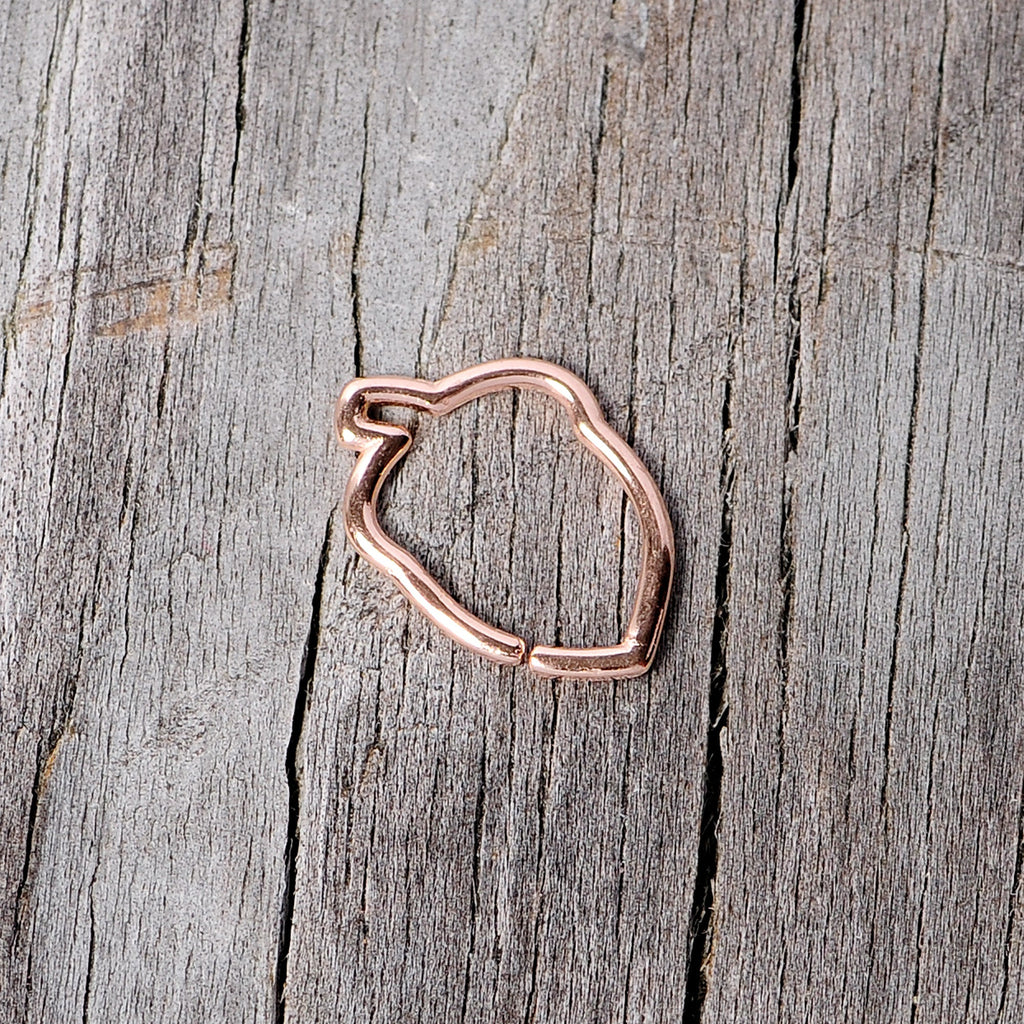 BodyCandy 16G 3/8 Rose Gold Tone Autumn Acorn Closure Ring — back view
