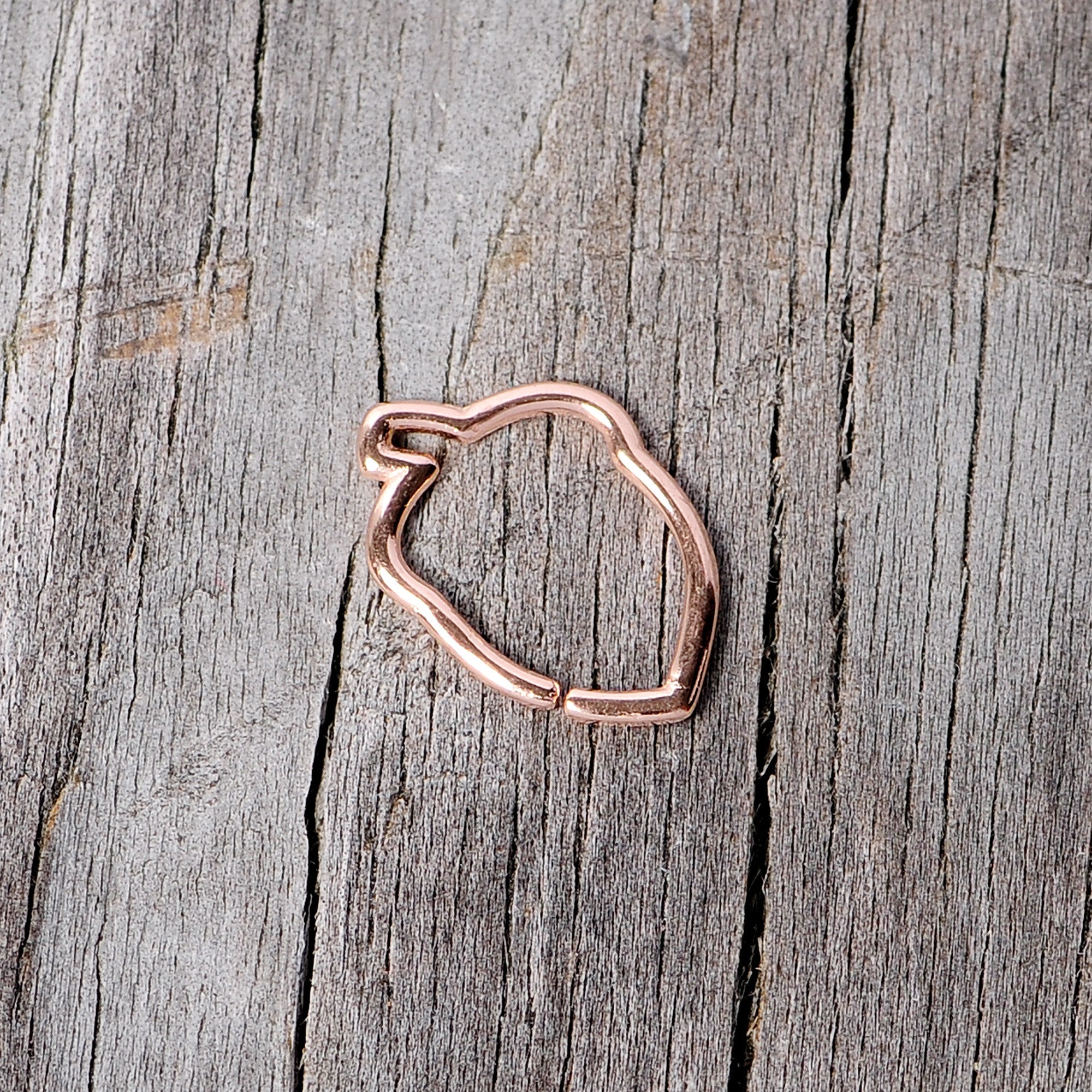 BodyCandy 16G 3/8 Rose Gold Tone Autumn Acorn Closure Ring — back view