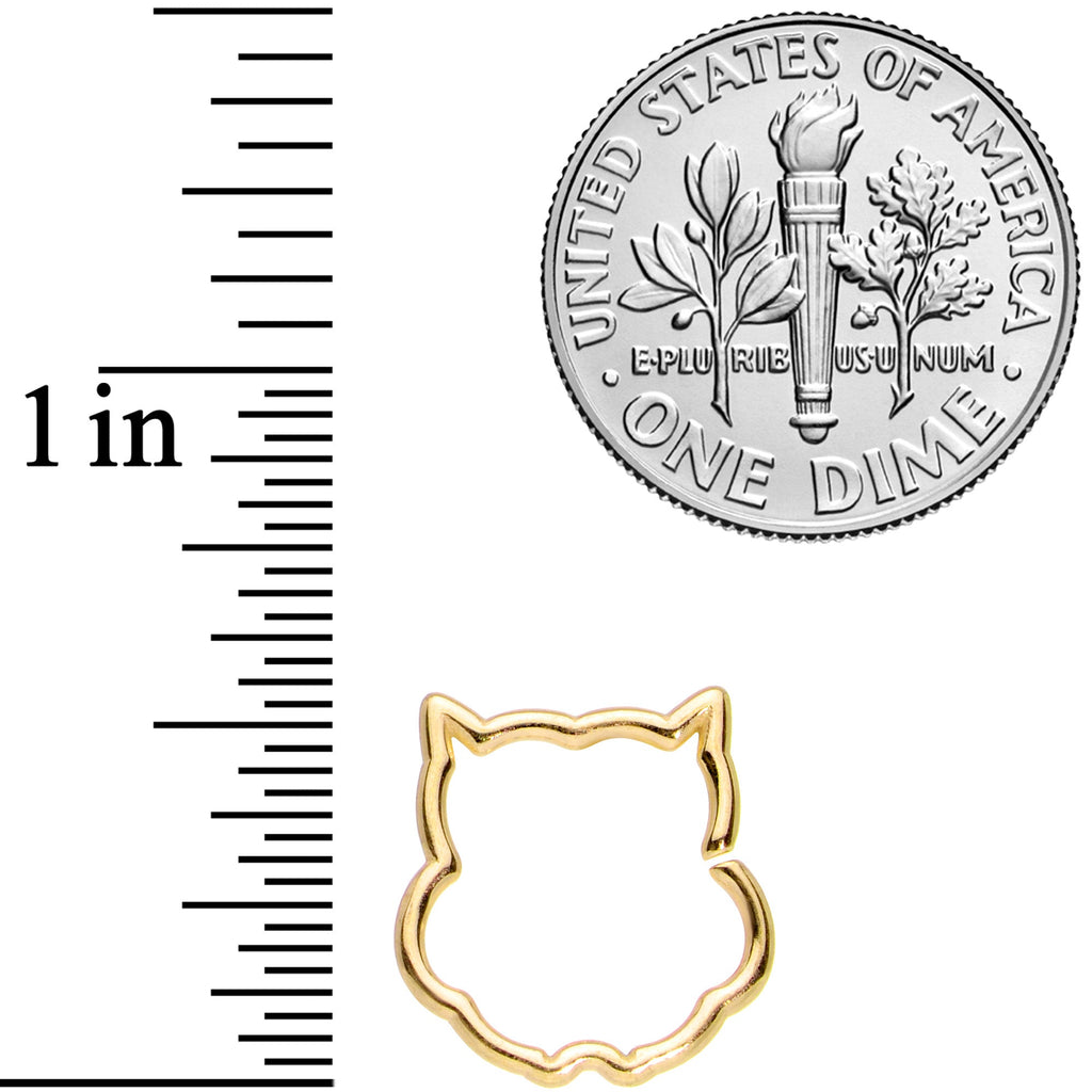 BodyCandy 16G 3/8 Gold Tone Barn Owl Halloween Closure Ring — detail close-up