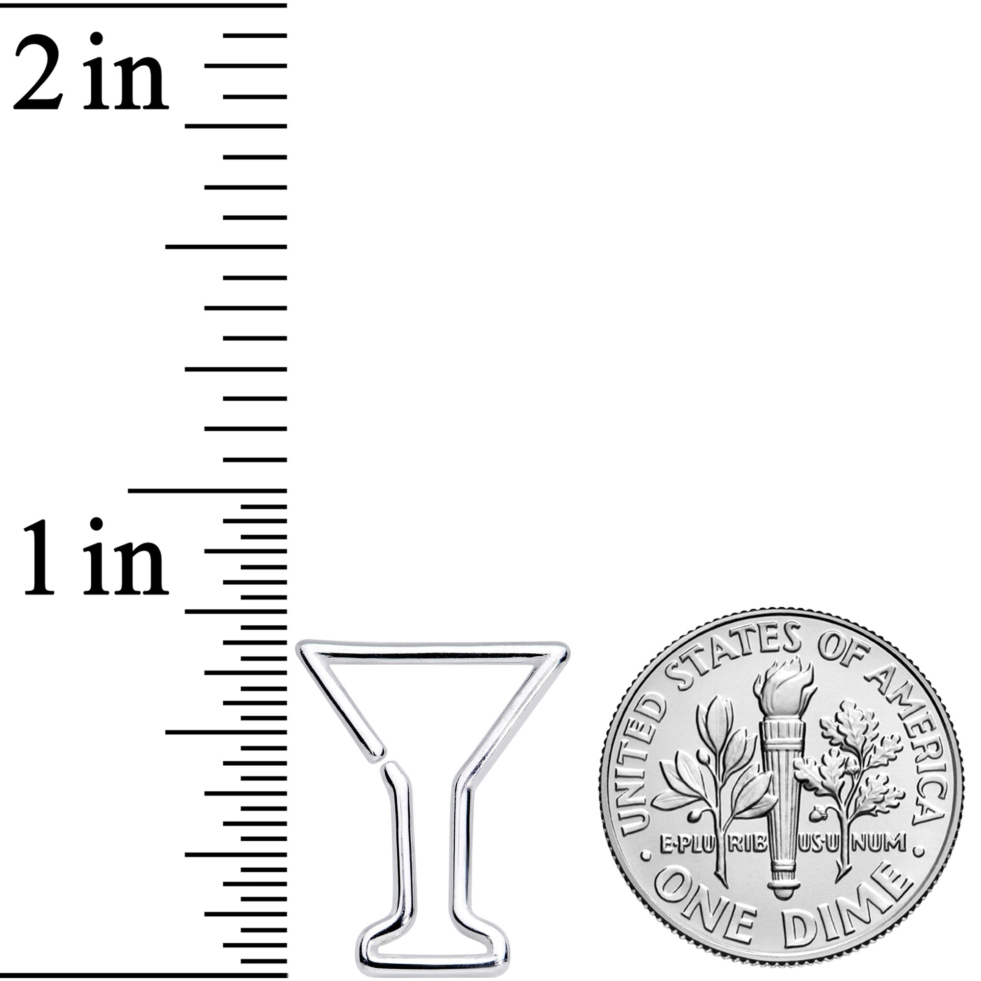 BodyCandy 16G 5/16 Bottoms Up Wineglass Erlenmeyer Flask Closure Ring — lifestyle context