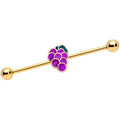 BodyCandy 14G Gold Tone Sweet Purple Grapes Industrial Barbell 38mm — main product shot