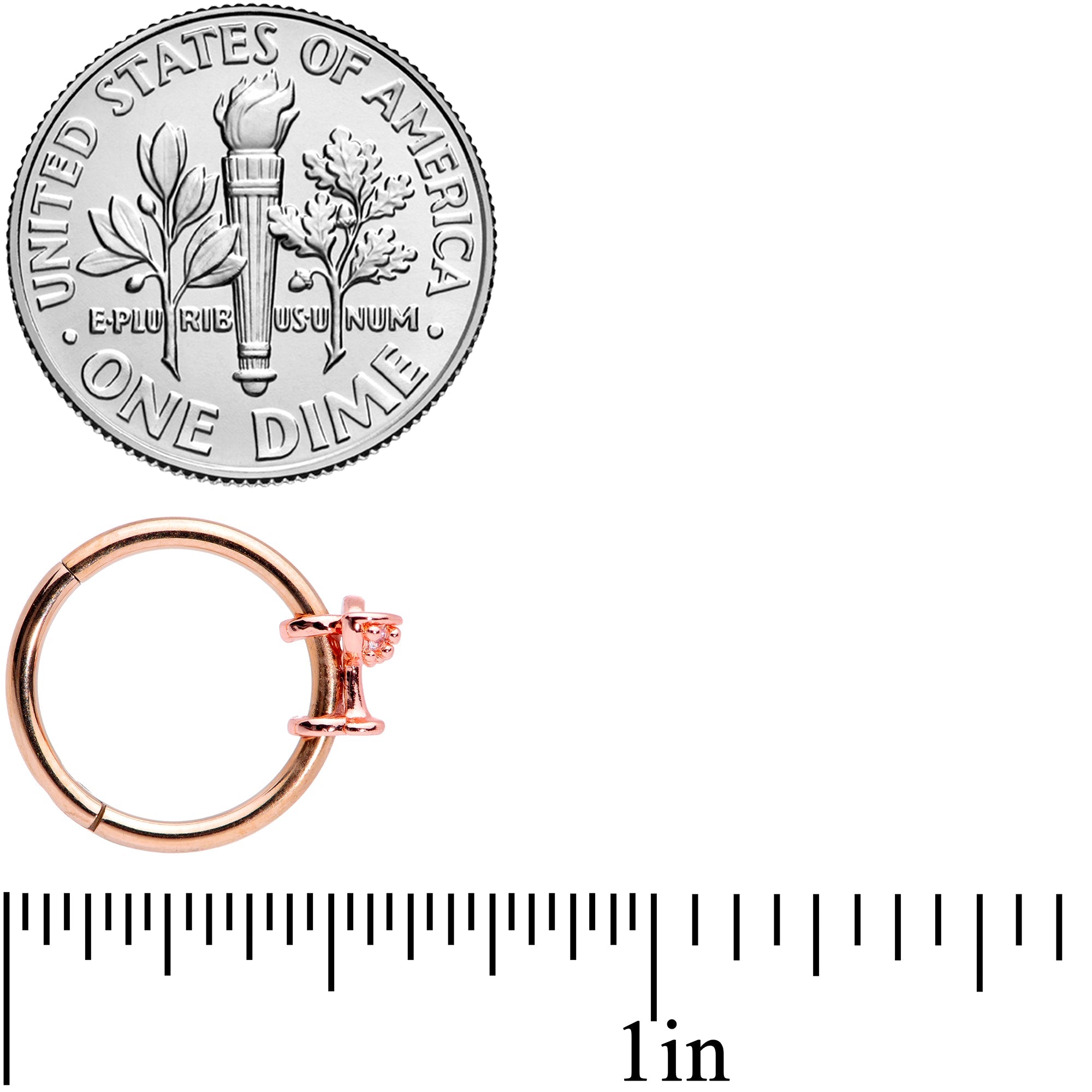 BodyCandy 16G 3/8 Clear Gem Rose Gold Tone Cocktail New Year Septum Clicker — back view