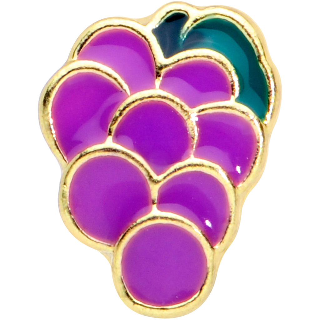 BodyCandy 16G 1/4 Gold Tone Sweet Purple Grapes Cartilage Tragus Earring — detail close-up