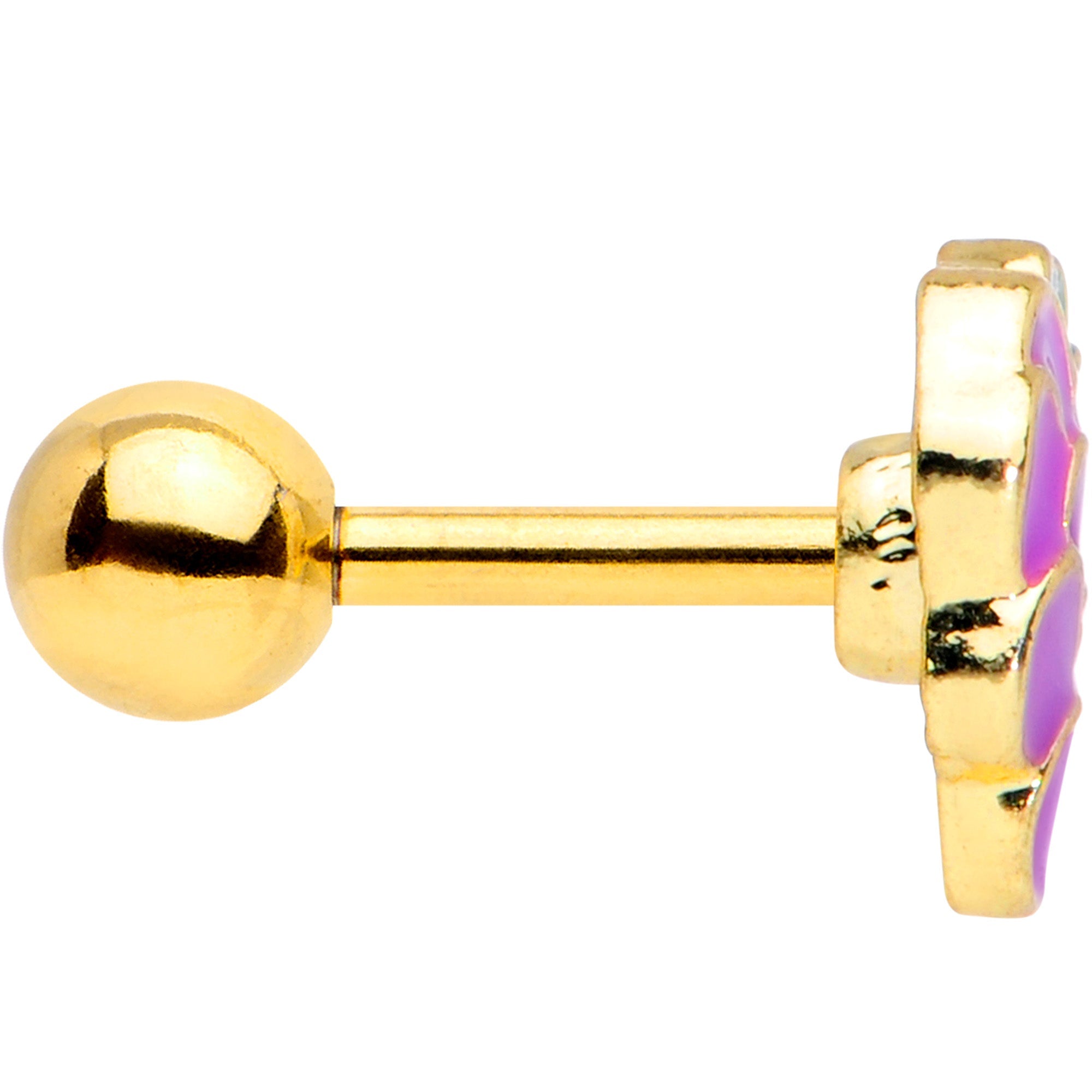 BodyCandy 16G 1/4 Gold Tone Sweet Purple Grapes Cartilage Tragus Earring — lifestyle context
