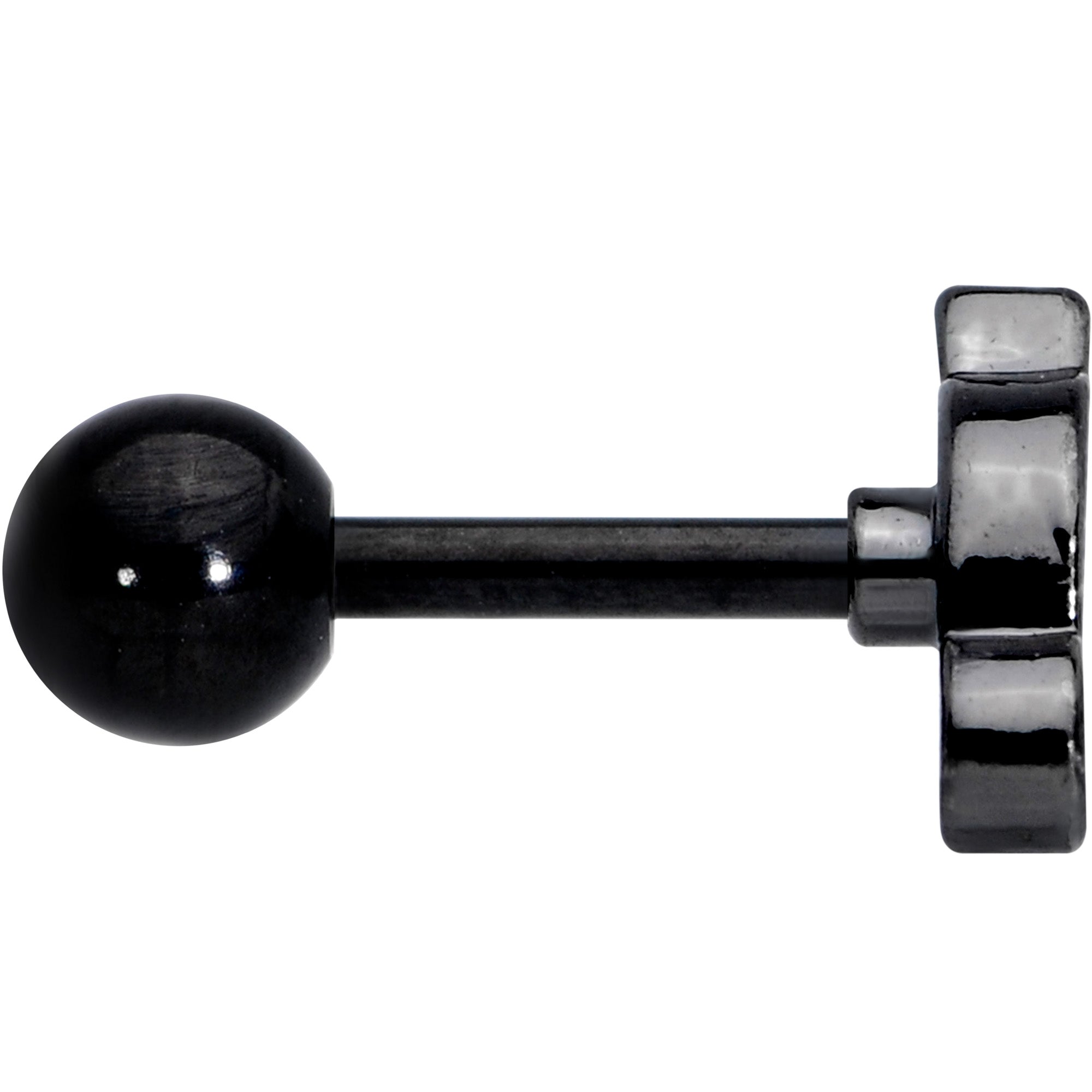 BodyCandy 16G 1/4 Black Mouse Cartilage Tragus Earring — lifestyle context