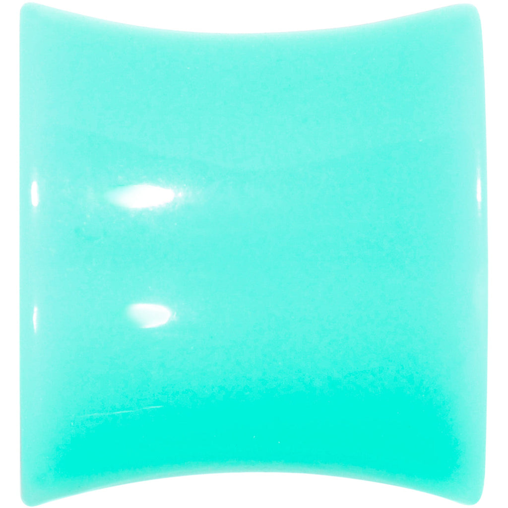 BodyCandy Aqua Acrylic UV Saddle Tunnel Plug Set 12mm to 26mm — back view