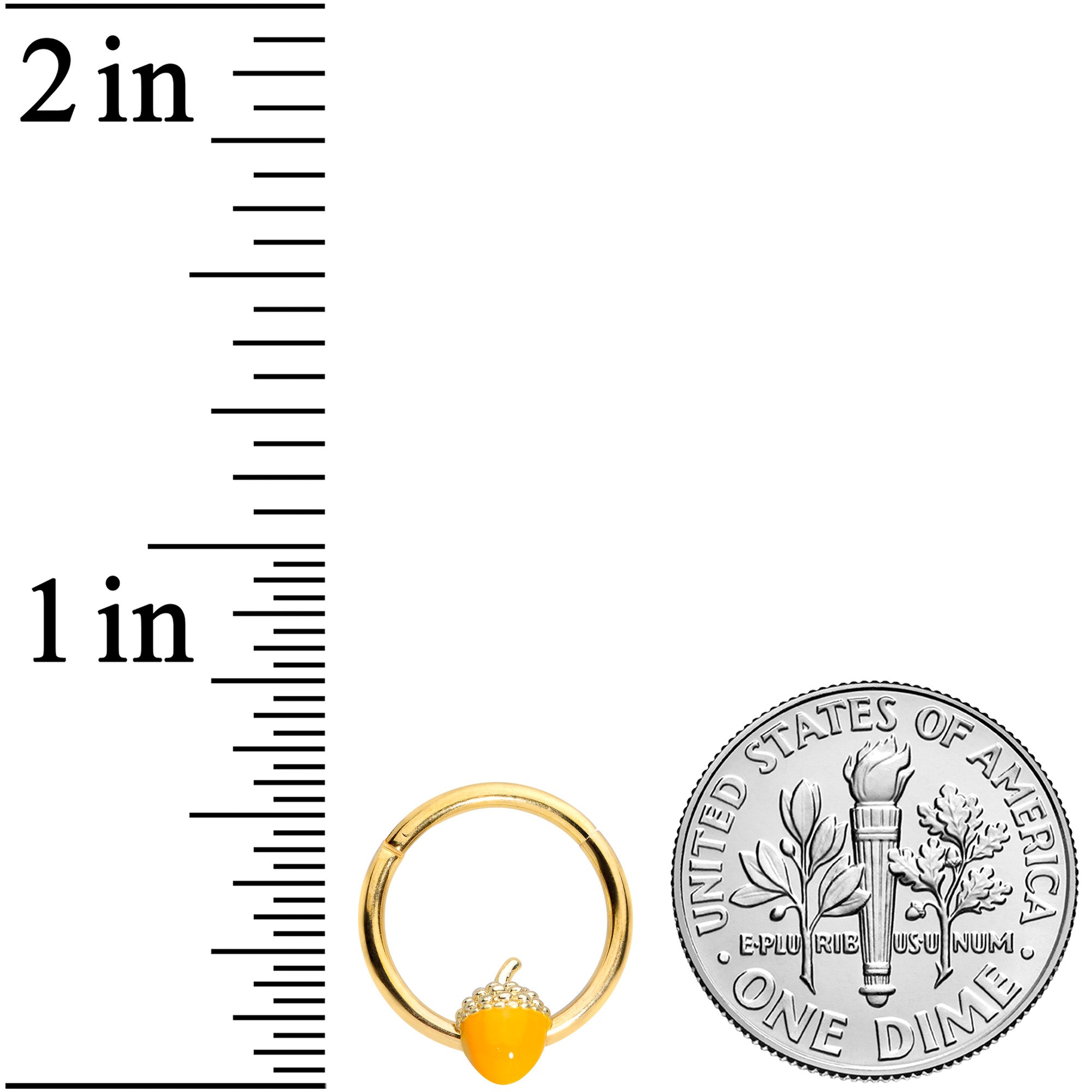 BodyCandy 16G 3/8 Gold Tone Orange Acorn Hinged Segment Ring — lifestyle context