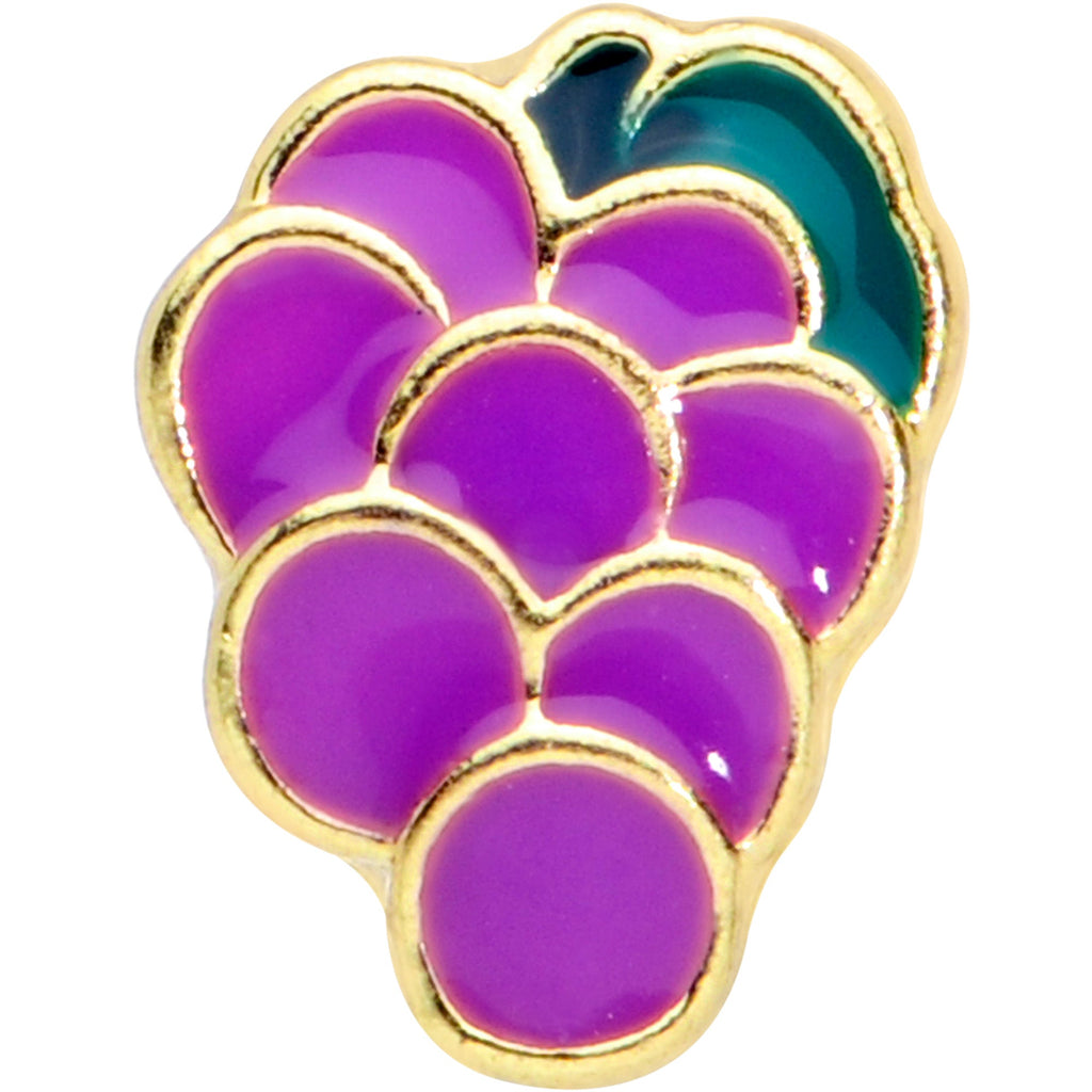 BodyCandy 16G 5/16 Gold Tone Sweet Purple Grapes Labret Monroe Tragus — detail close-up