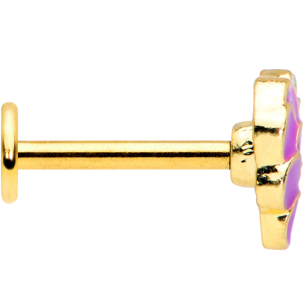 BodyCandy 16G 5/16 Gold Tone Sweet Purple Grapes Labret Monroe Tragus — lifestyle context