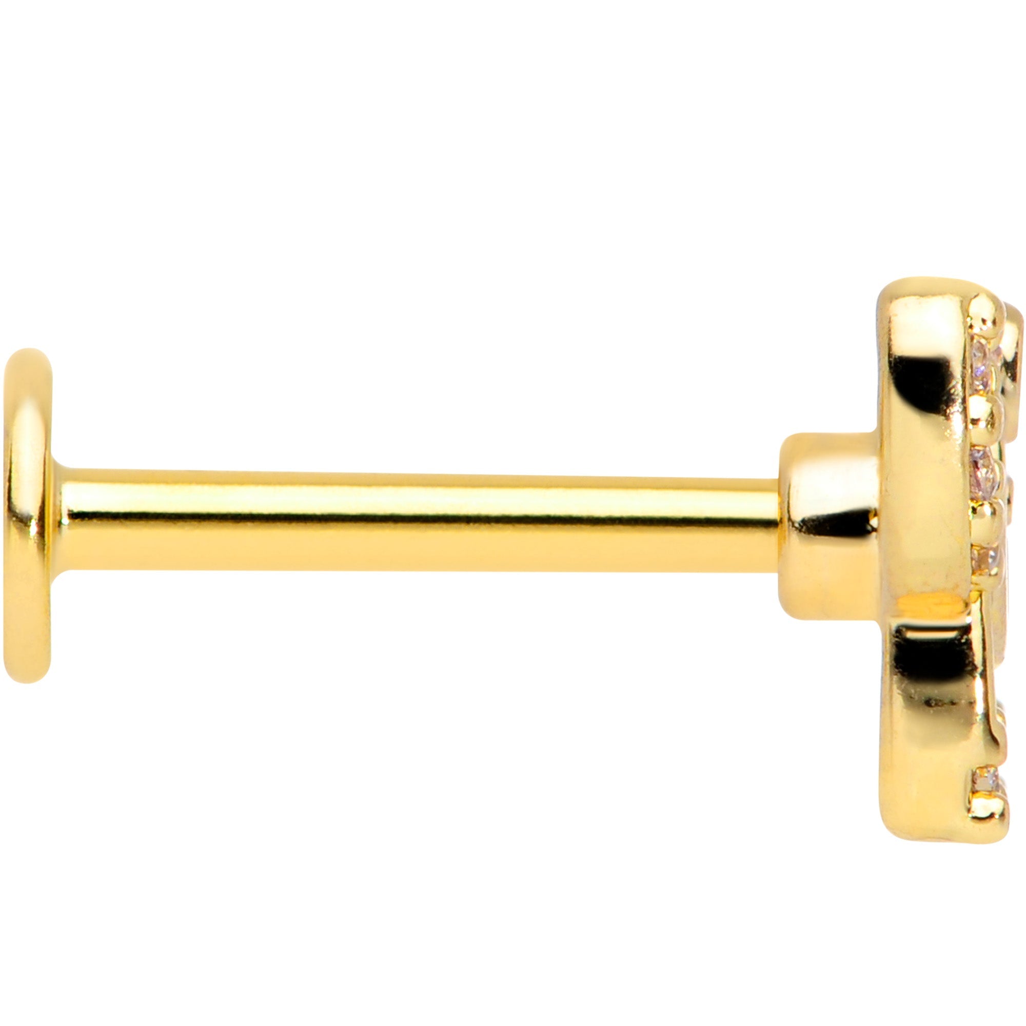BodyCandy 16G 5/16 Clear Gem Gold Tone Flying Pigs Labret Monroe Tragus — lifestyle context