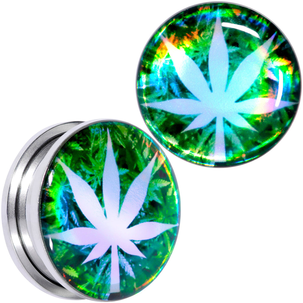 BodyCandy Green Hologram Marijuana Weed Leaf Screw Fit Plug Set 6G to 1 Inch — product on model