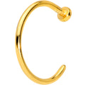 BodyCandy 20G 5/16 Gold Tone PVD Implant Grade Titanium Disc Nose Hoop — main product shot