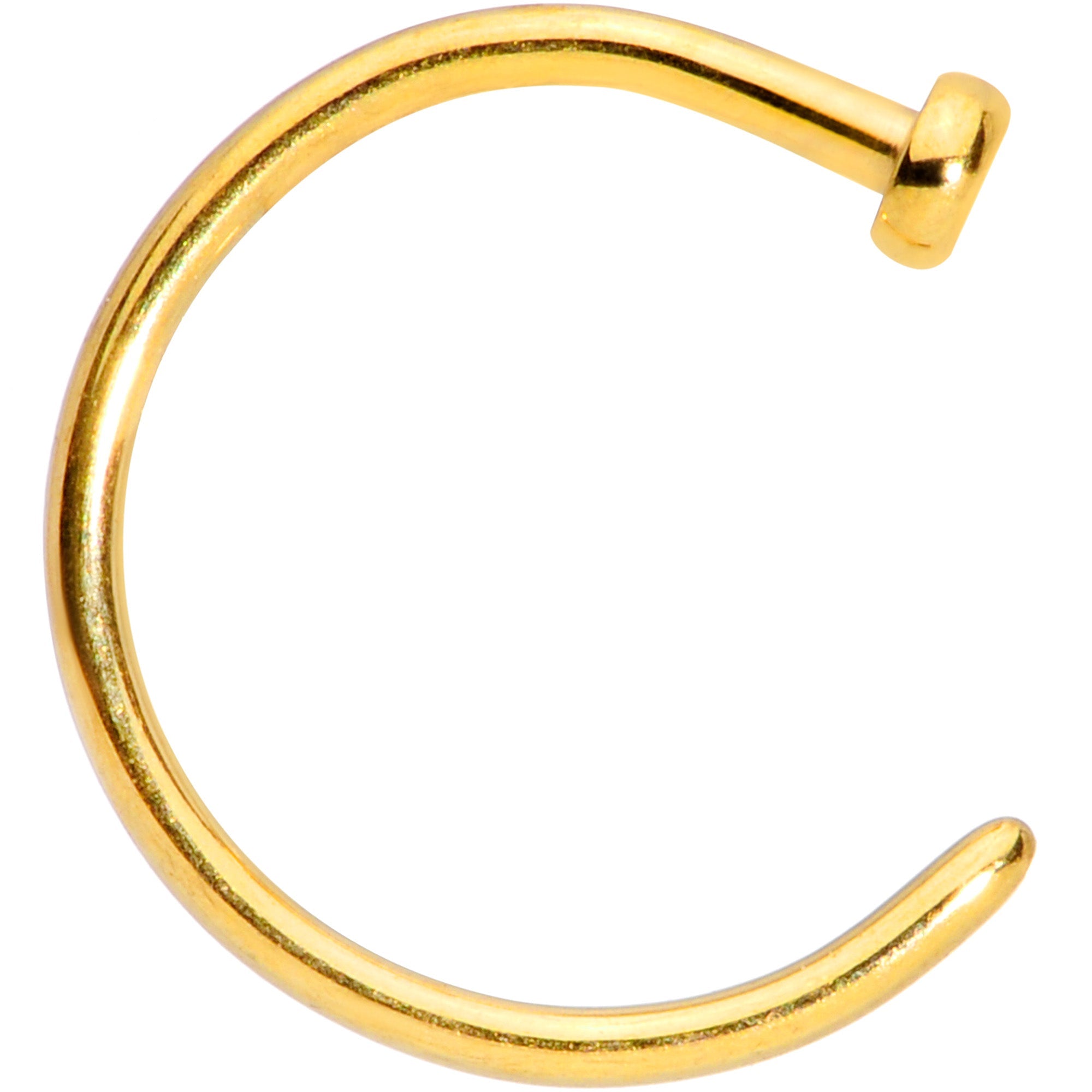 BodyCandy 20G 5/16 Gold Tone PVD Implant Grade Titanium Disc Nose Hoop — detail close-up