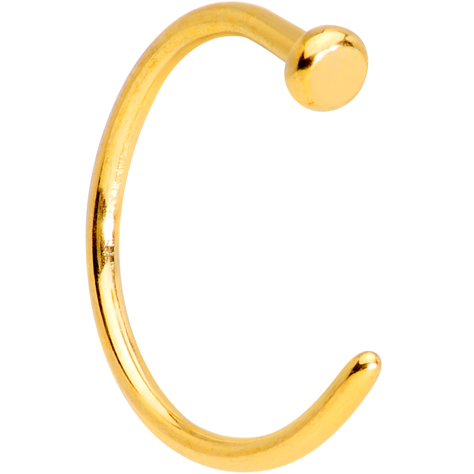 BodyCandy 20G 5/16 Gold Tone PVD Implant Grade Titanium Disc Nose Hoop — lifestyle context