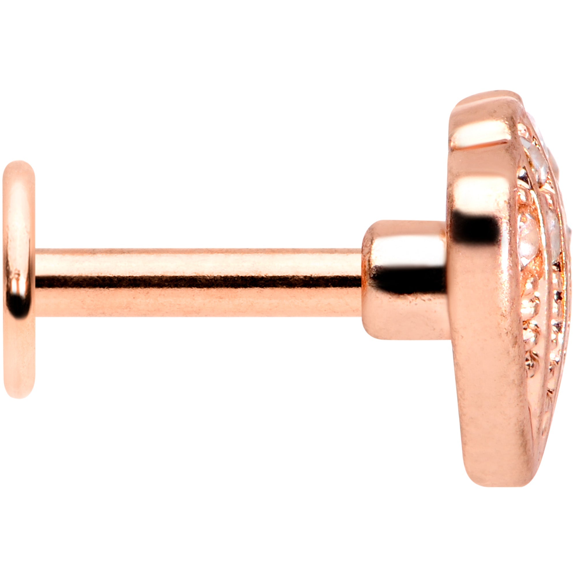 BodyCandy 16G 1/4 Clear Gem Rose Gold Tone Shell Labret Monroe Tragus — lifestyle context