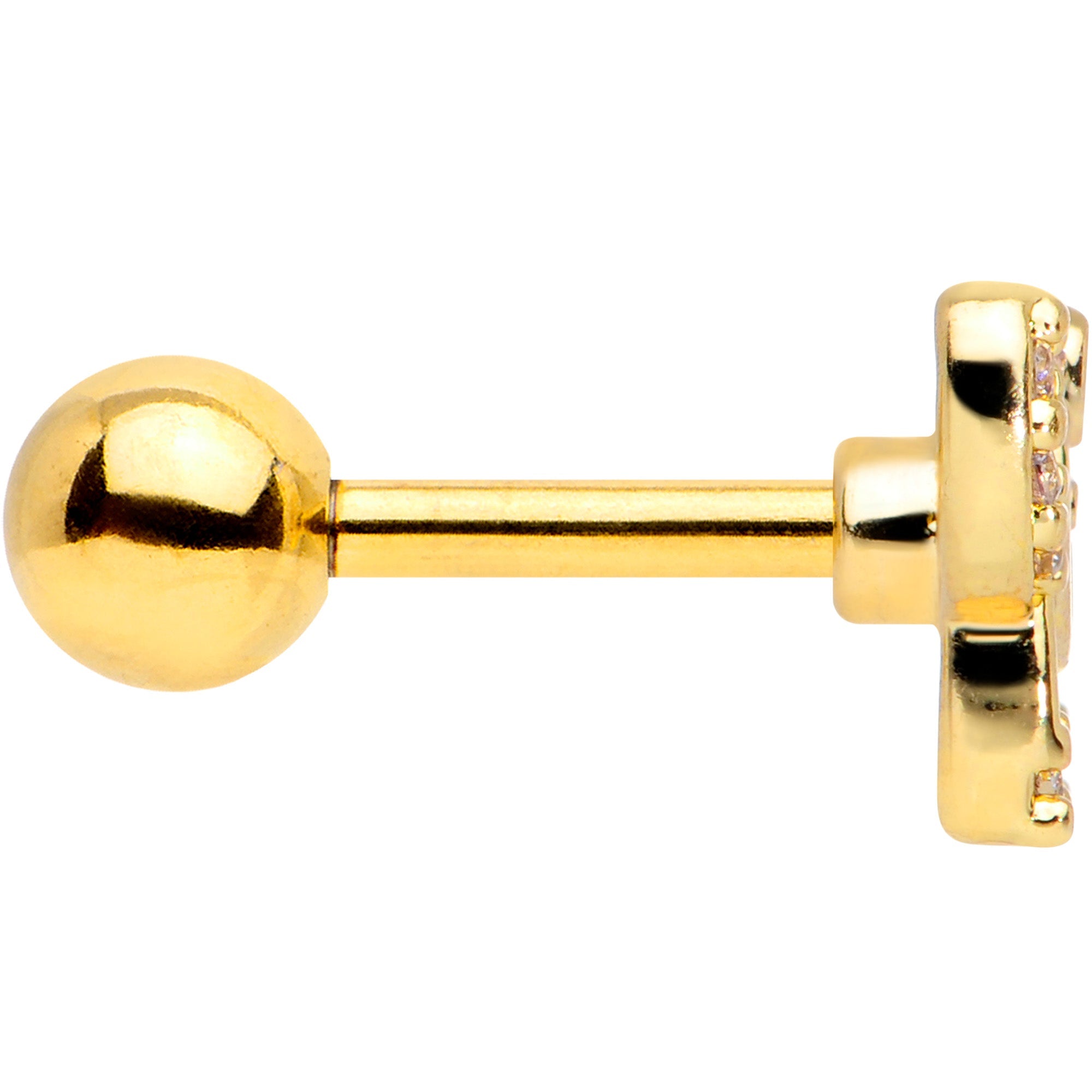 BodyCandy 16G 1/4 Clear Gem Gold Tone Flying Pigs Cartilage Tragus Earring — lifestyle context