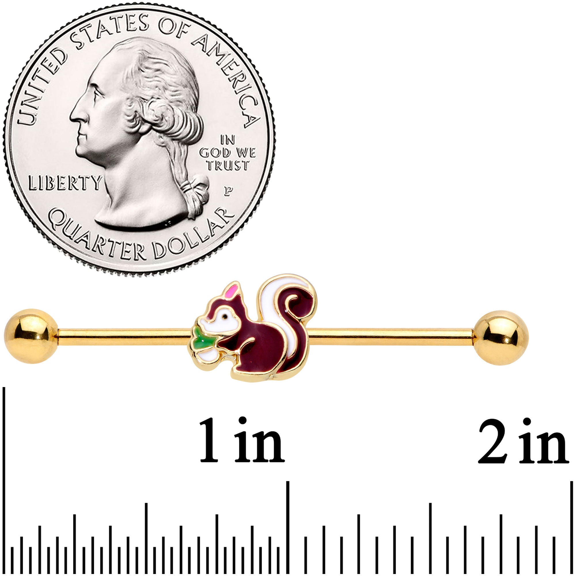 BodyCandy 14G Gold Tone Snacking Squirrel Industrial Barbell 38mm — detail close-up
