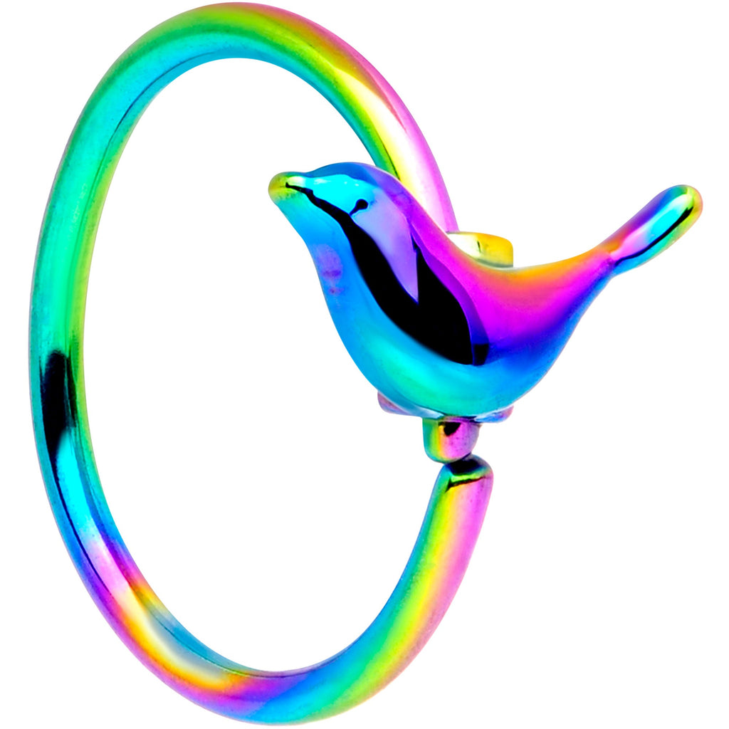 BodyCandy 20G 5/16 Rainbow Bird Nose Hoop — main product shot