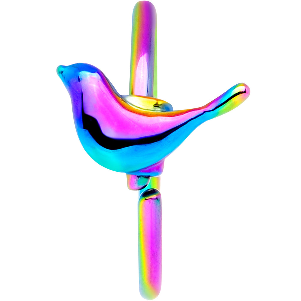 BodyCandy 20G 5/16 Rainbow Bird Nose Hoop — detail close-up