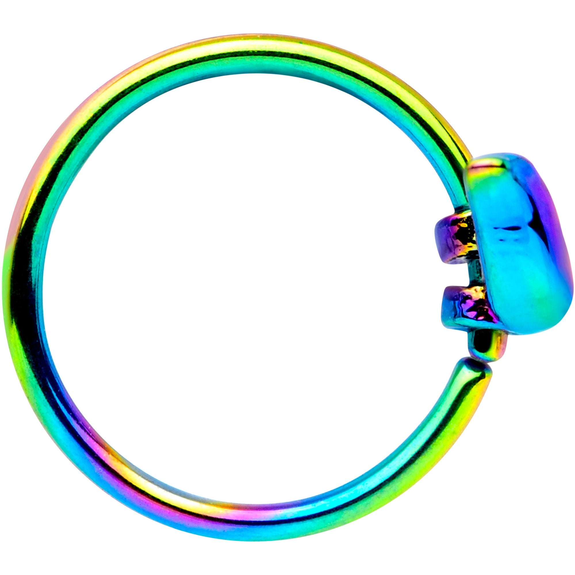 BodyCandy 20G 5/16 Rainbow Bird Nose Hoop — lifestyle context