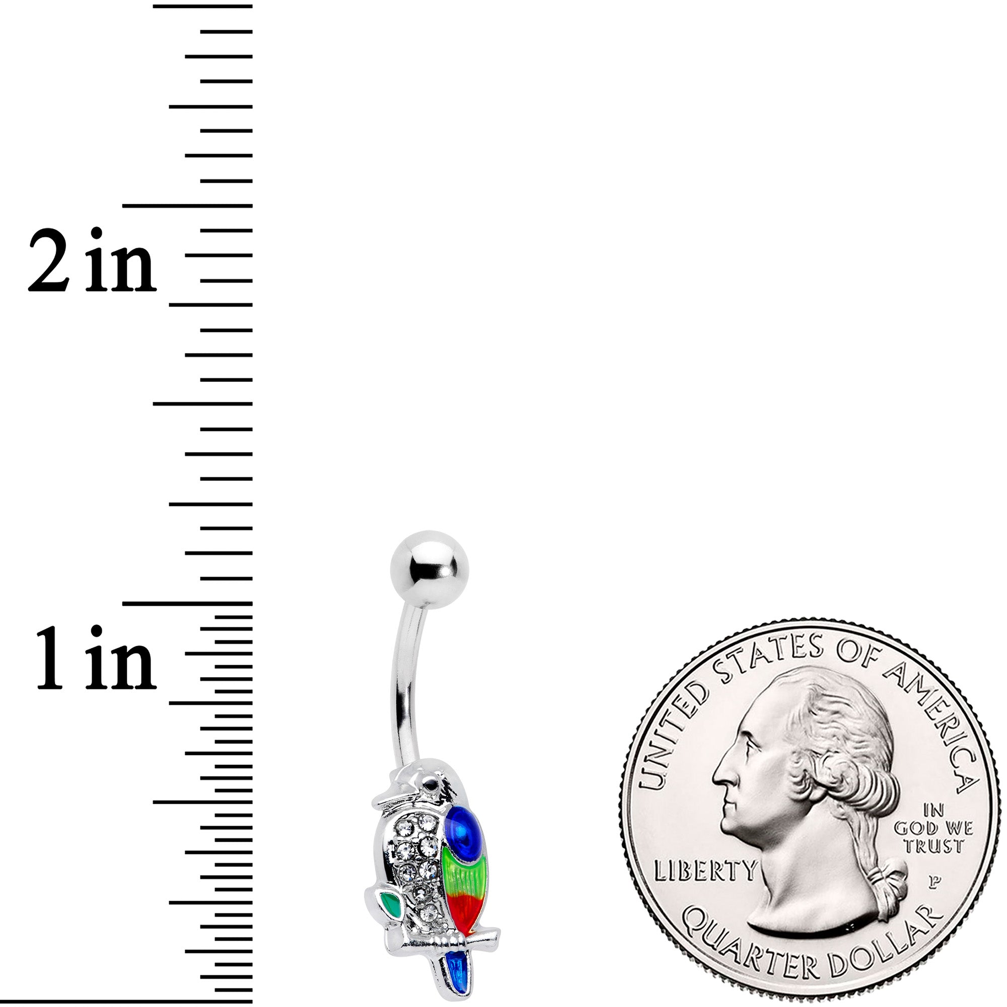 BodyCandy Clear Gem Tropical Parrot Bird Belly Ring — detail close-up