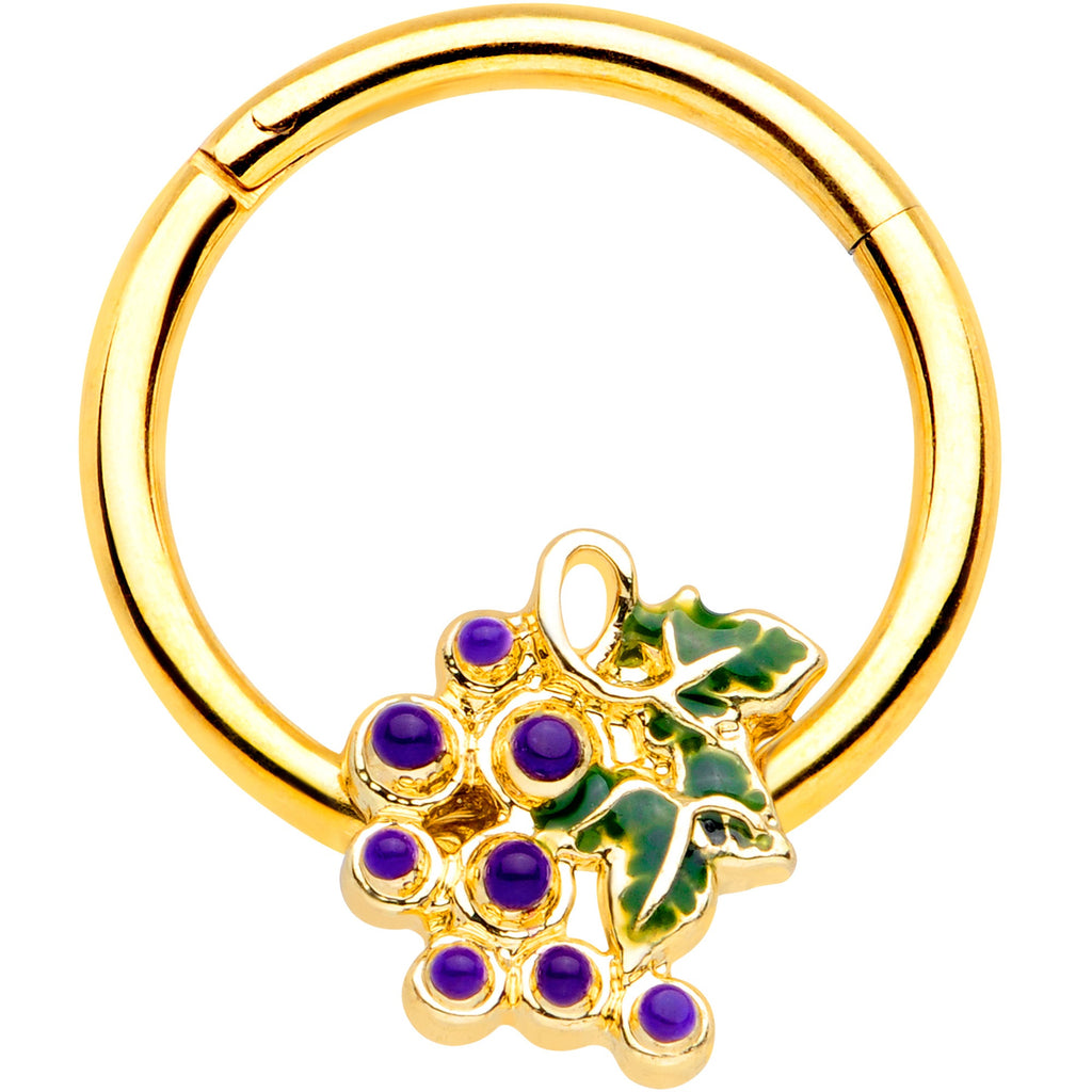 BodyCandy 16G 3/8 Gold Tone Yummy Grapes Septum Ring — main product shot