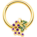BodyCandy 16G 3/8 Gold Tone Yummy Grapes Septum Ring — main product shot