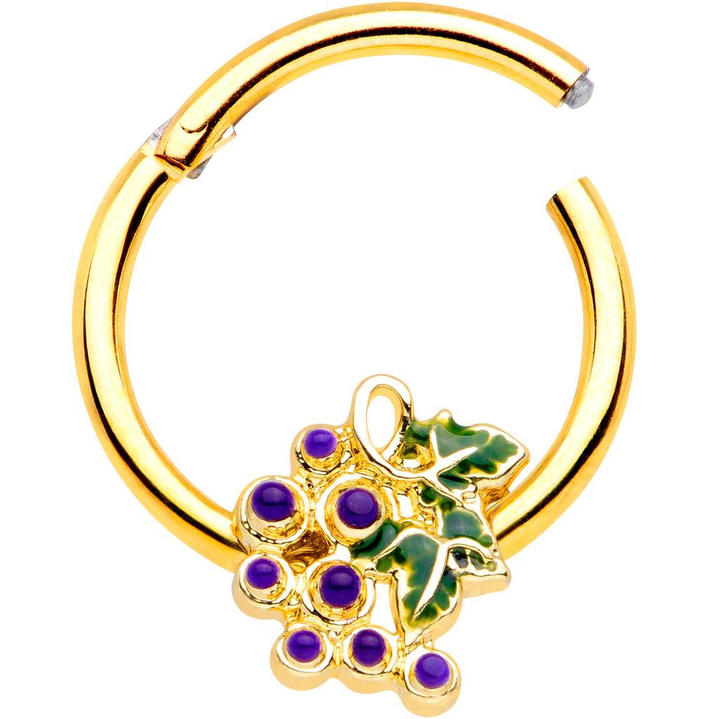 BodyCandy 16G 3/8 Gold Tone Yummy Grapes Septum Ring — detail close-up