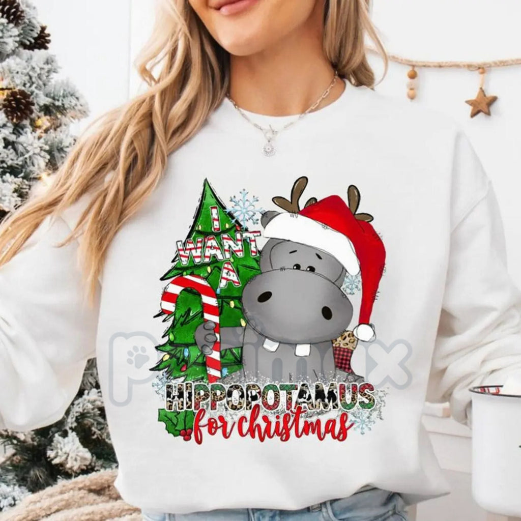 Pasimax I Want a Hippopotamus for Christmas Sweatshirt | Cute Nostalgic Holiday Song Jumper | Funny Hippo Xmas Crewneck Gift 