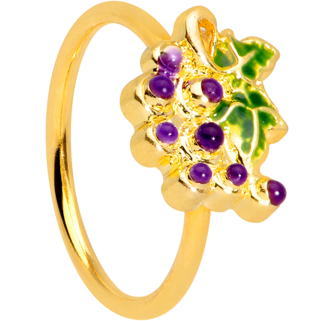 BodyCandy 20G 5/16 Gold Tone Yummy Grapes Nose Hoop — main product shot
