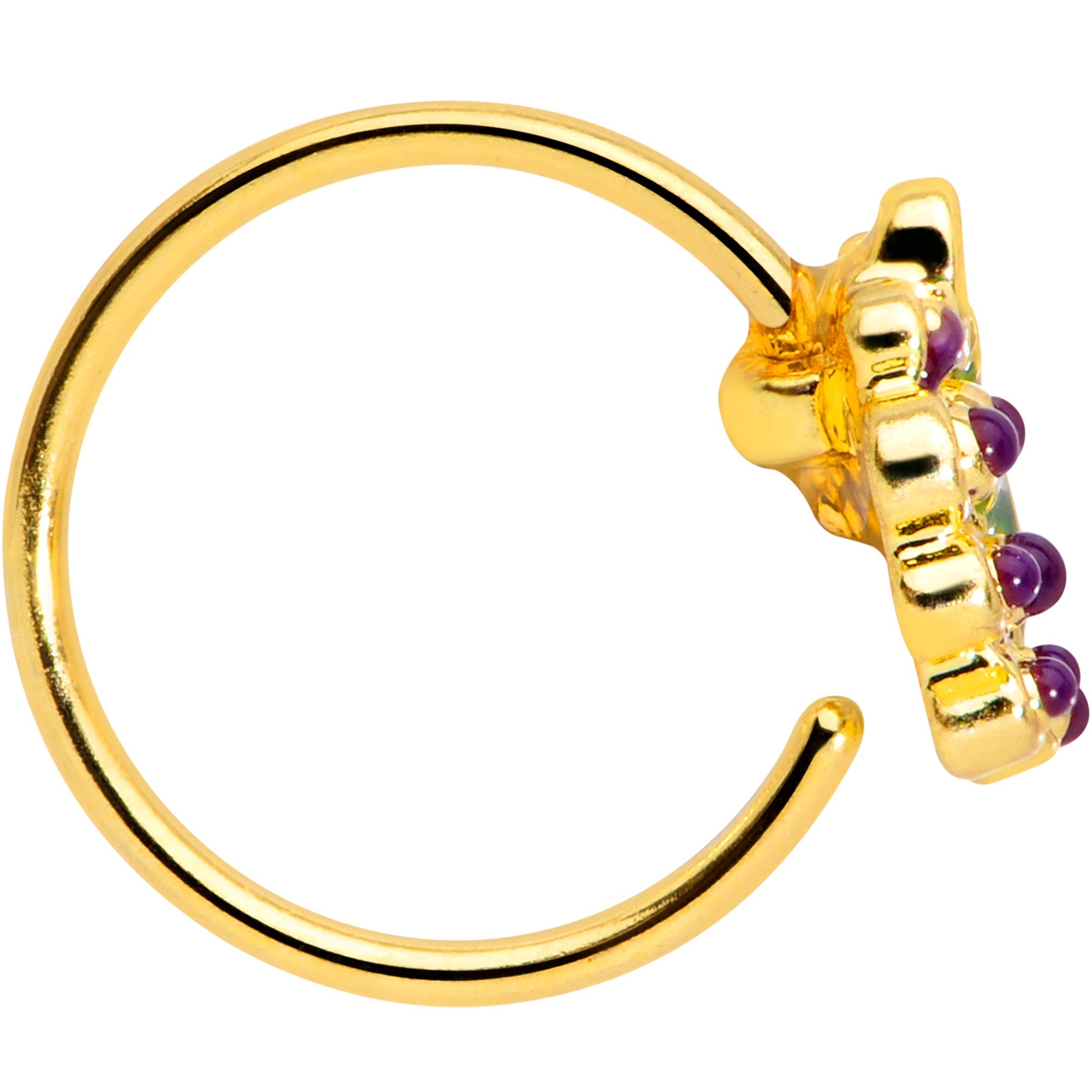 BodyCandy 20G 5/16 Gold Tone Yummy Grapes Nose Hoop — detail close-up