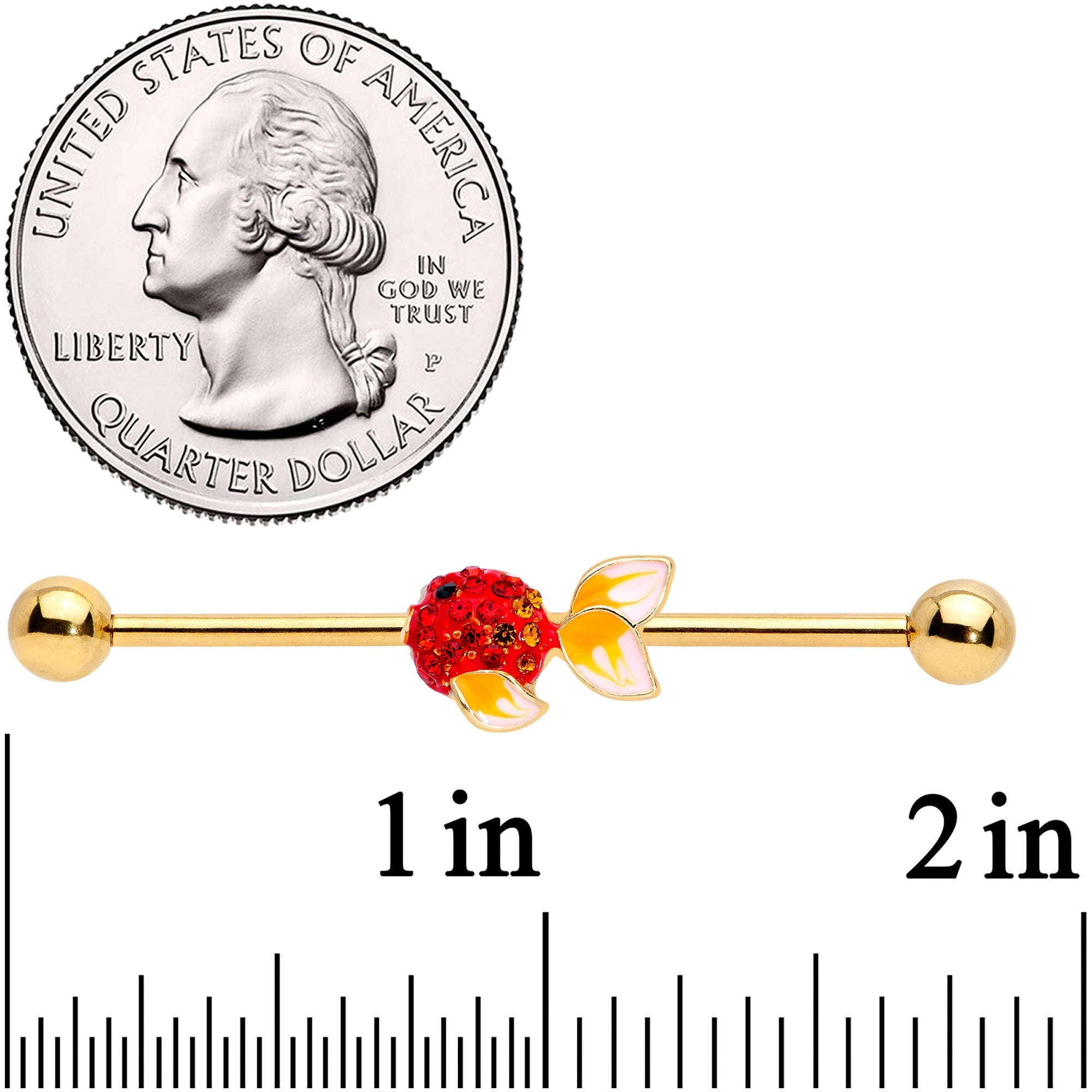 BodyCandy 14G Red Gem Gold Tone Blowfish Industrial Barbell 38mm — lifestyle context