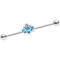 BodyCandy 14G Aqua Clear Gem Classic Cluster Industrial Barbell 38mm — main product shot