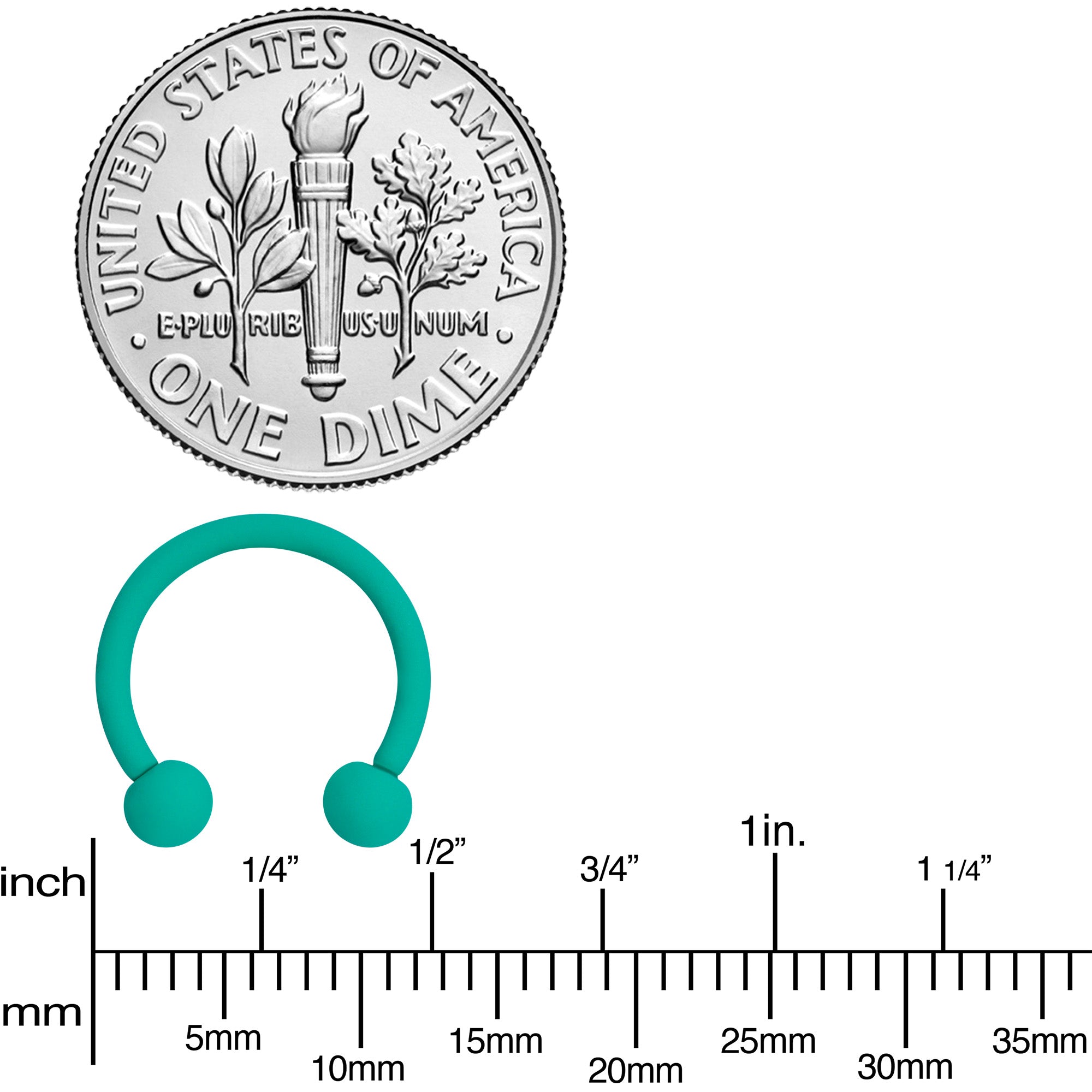 BodyCandy 16G 3/8 Totally Teal Matte Horseshoe Circular Barbell — alternative angle