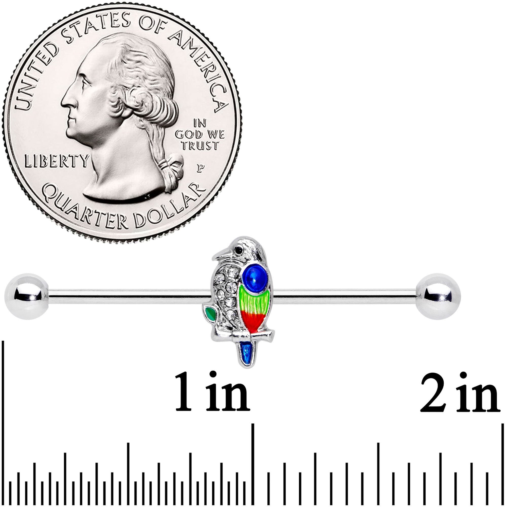 BodyCandy 14G Clear Gem Tropical Parrot Bird Industrial Barbell 38mm — lifestyle context
