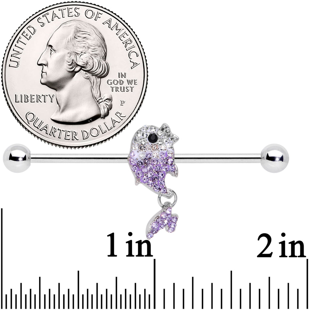 BodyCandy 14G Clear Purple Gem Fish Dangle Industrial Barbell 38mm — detail close-up