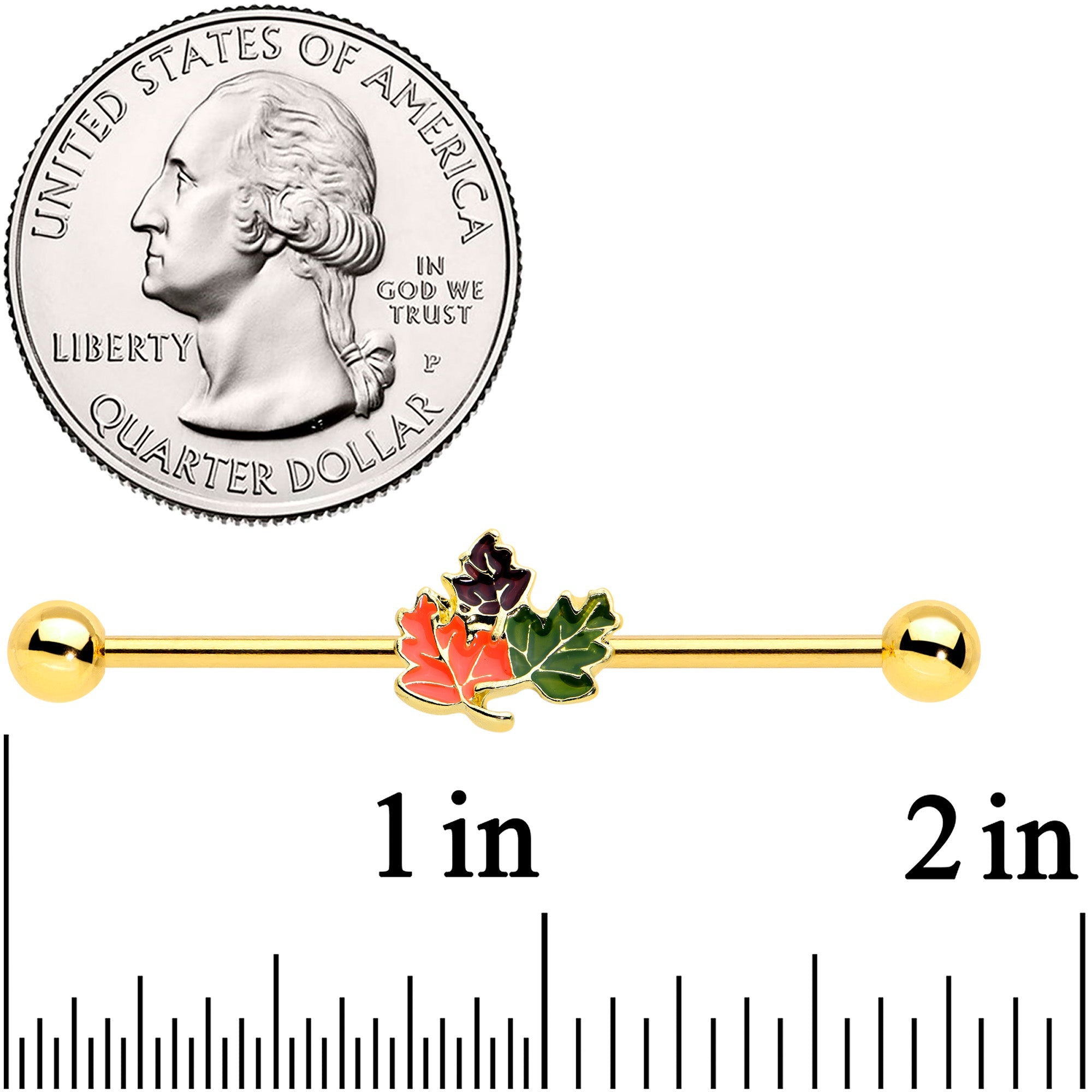 BodyCandy 14G Gold Tone Lovely Autumn Leaf Trio Industrial Barbell 38mm — detail close-up