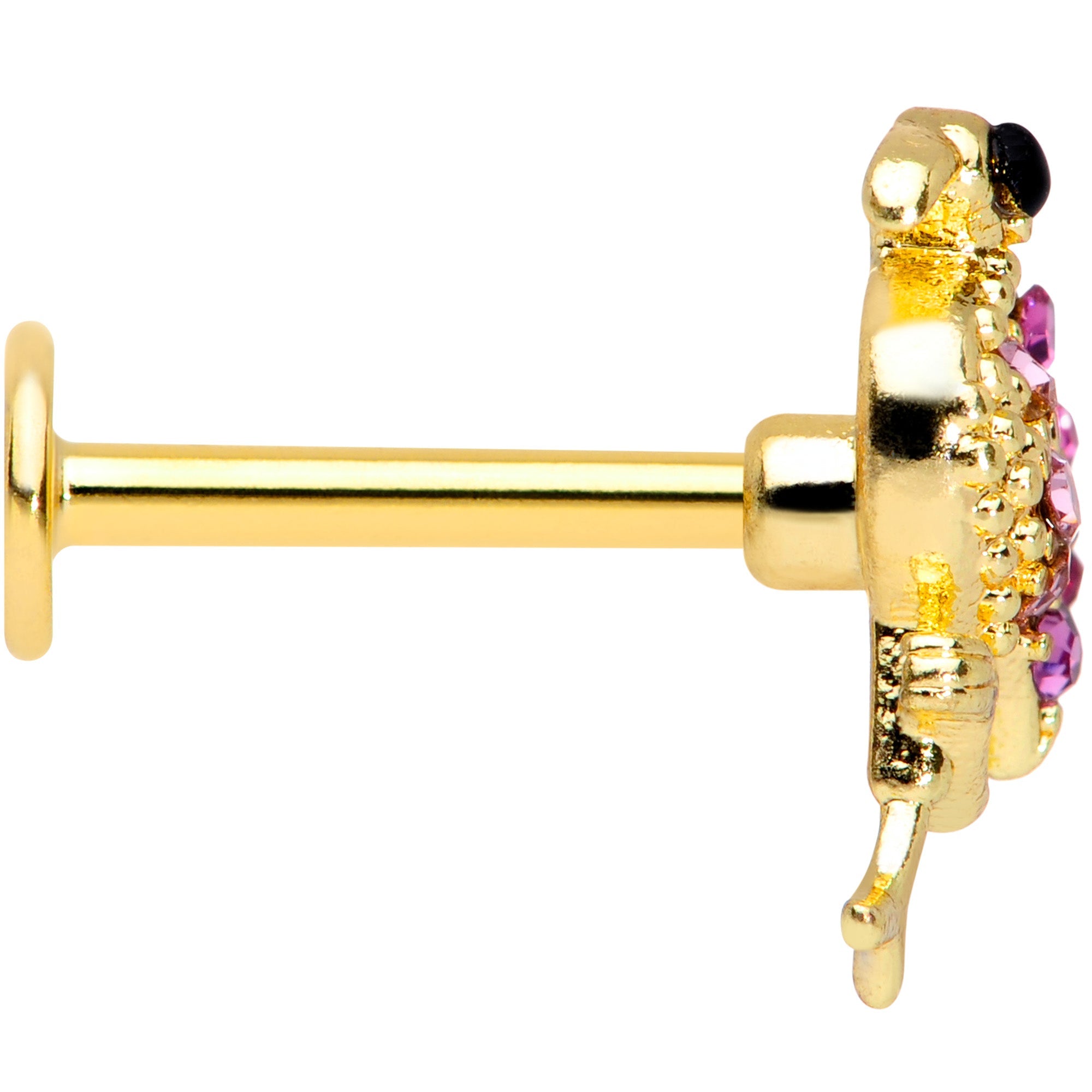 BodyCandy 16G 5/16 Pink Gem Gold Tone Fashion Flamingo Labret Monroe Tragus — lifestyle context