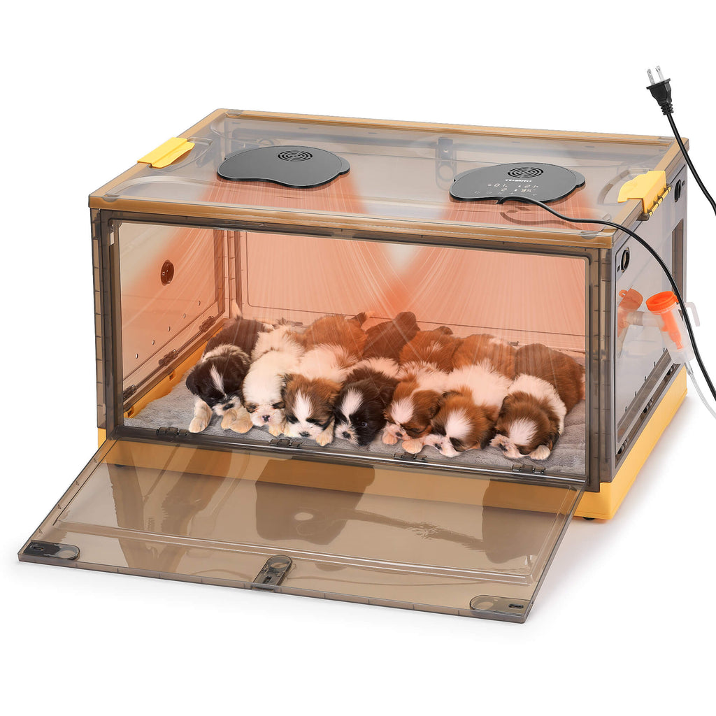 Neighborhood Pet Incubator, Grey Translucent – TURBRO