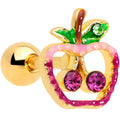 BodyCandy 16G 1/4 Purple Pink Gem Gold Tone Cherry Apple Cartilage Tragus — main product shot