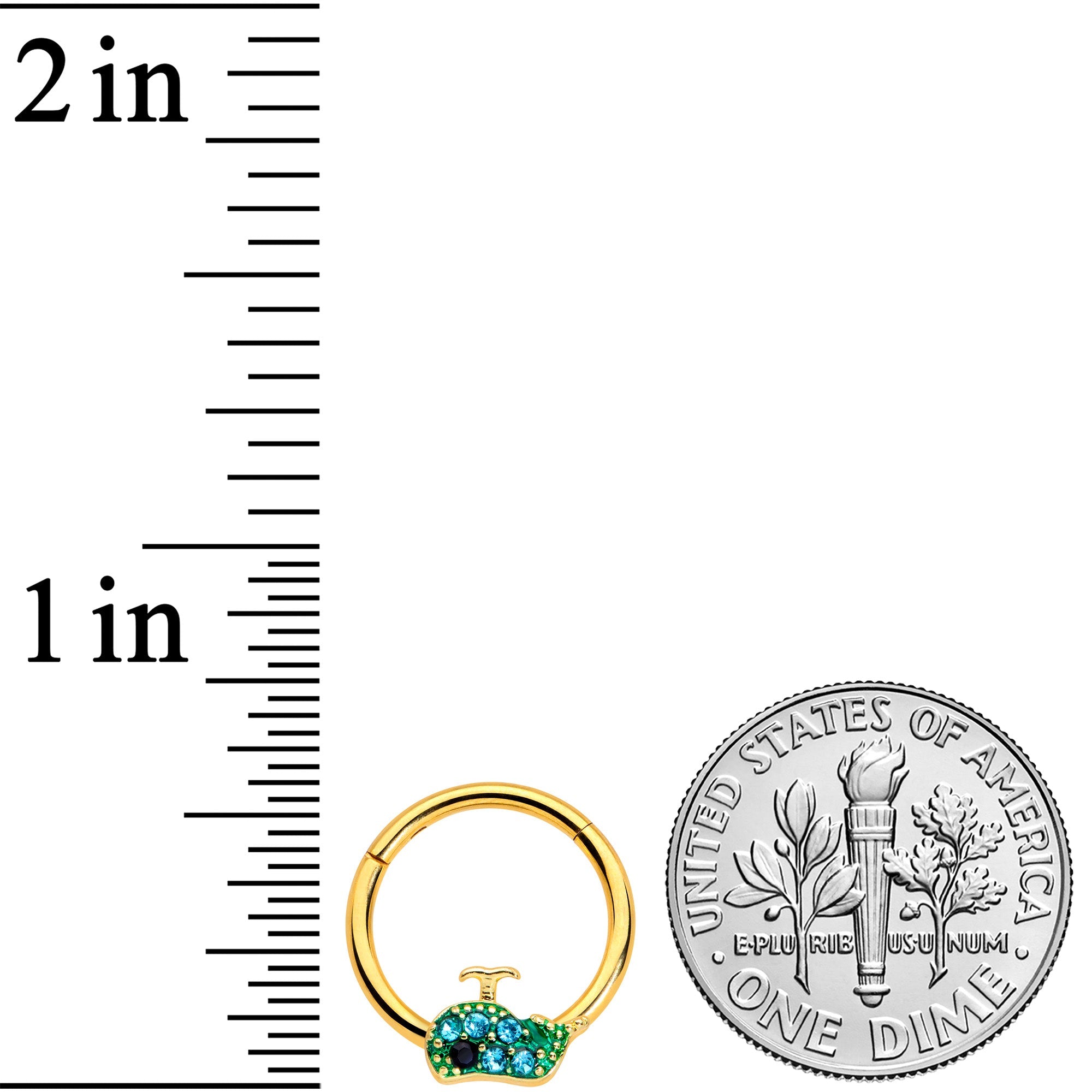 BodyCandy 16G 3/8 Aqua Gem Gold Tone Water Whale Hinged Segment Ring — lifestyle context