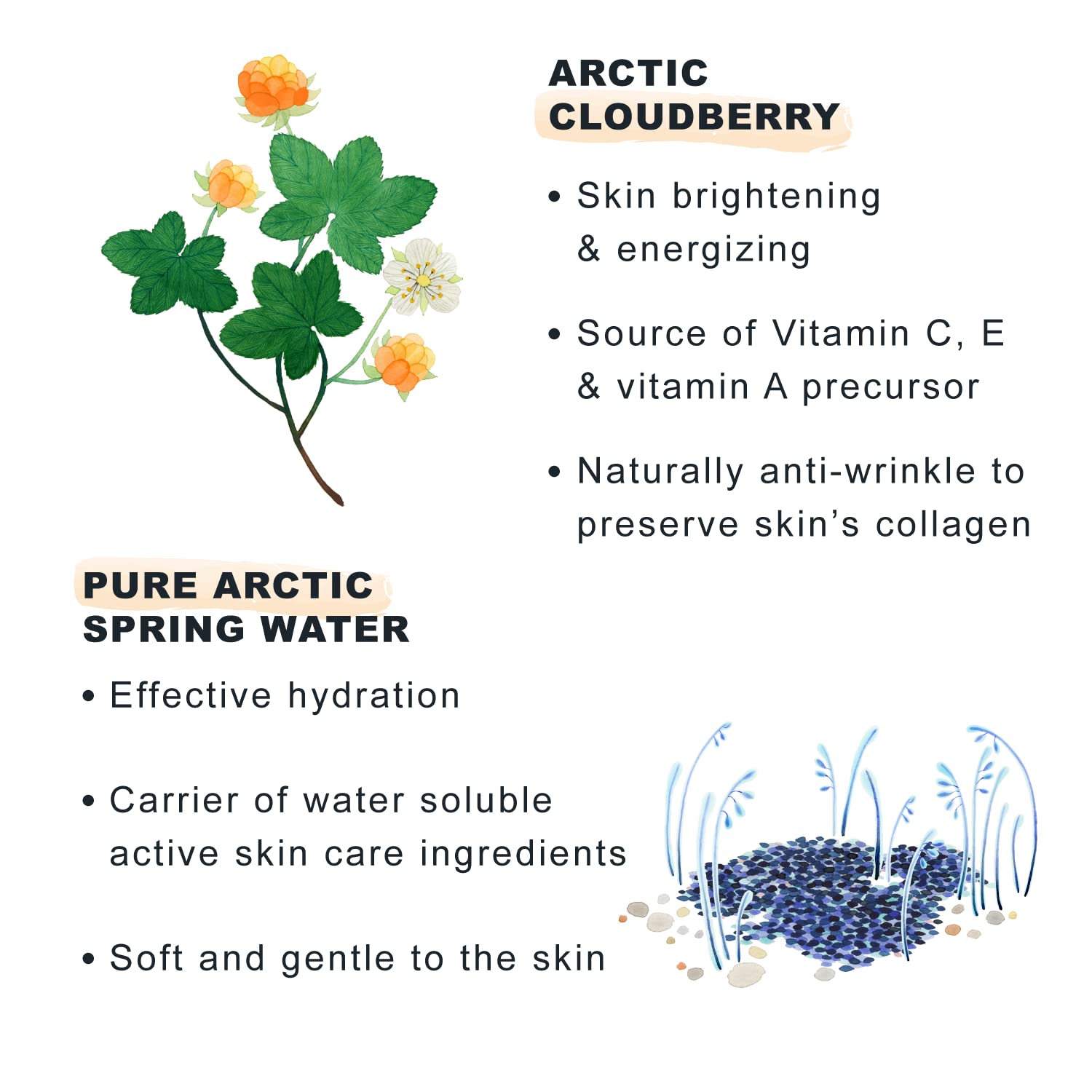 Lumene Nordic-C Vitamin C Moisturizing Cream with SPF30 - Brightening, Anti-Spot, Hydrating Skincare Product