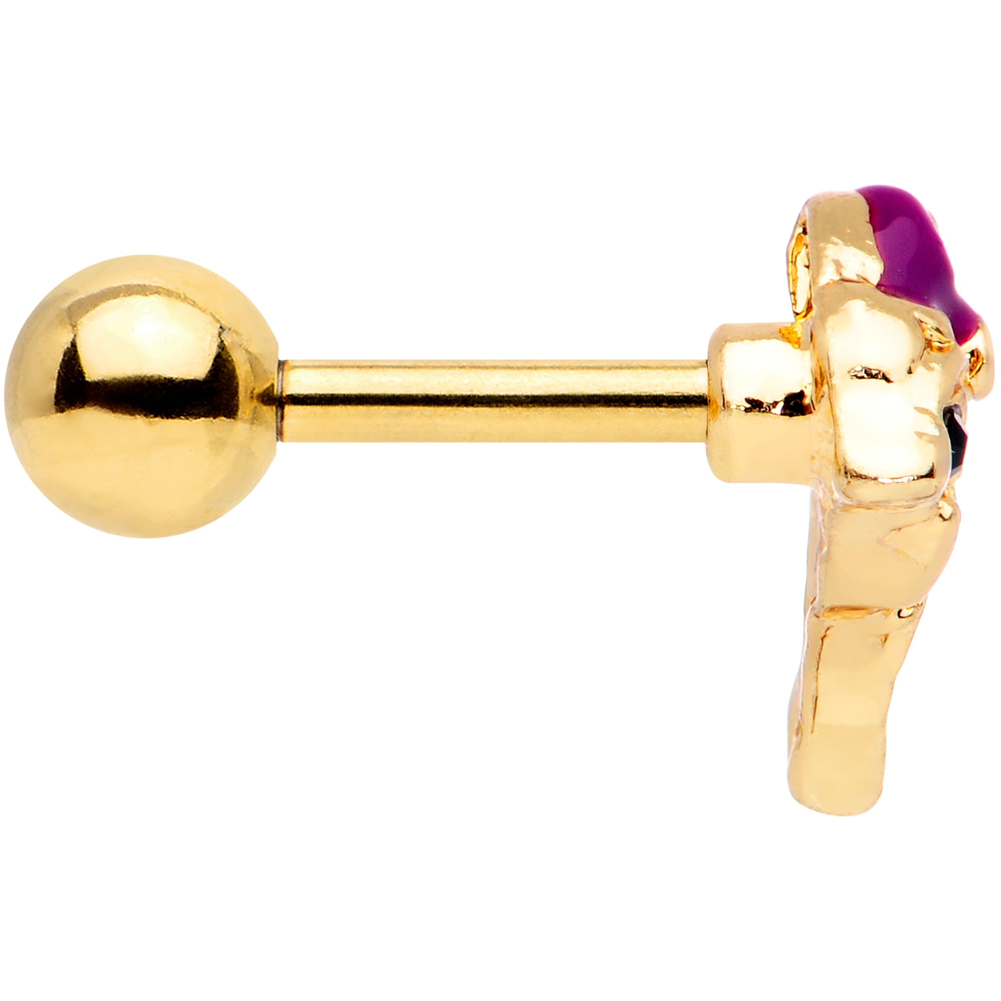 BodyCandy 16G 1/4 Purple Gem Gold Tone Dainty Dolphin Cartilage Tragus — lifestyle context