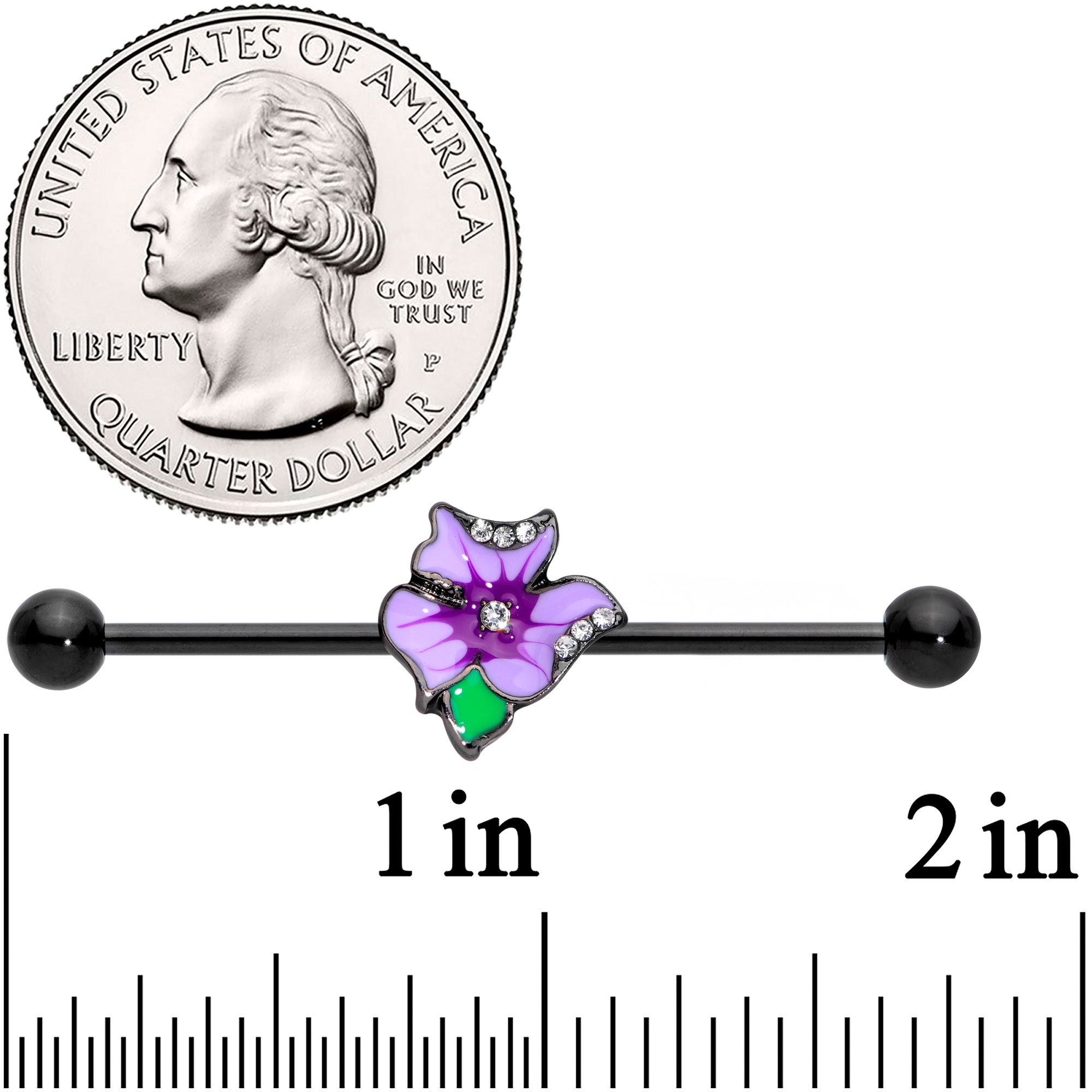 BodyCandy 14G Clear Gem Black Iris Flower Industrial Barbell 38mm — detail close-up
