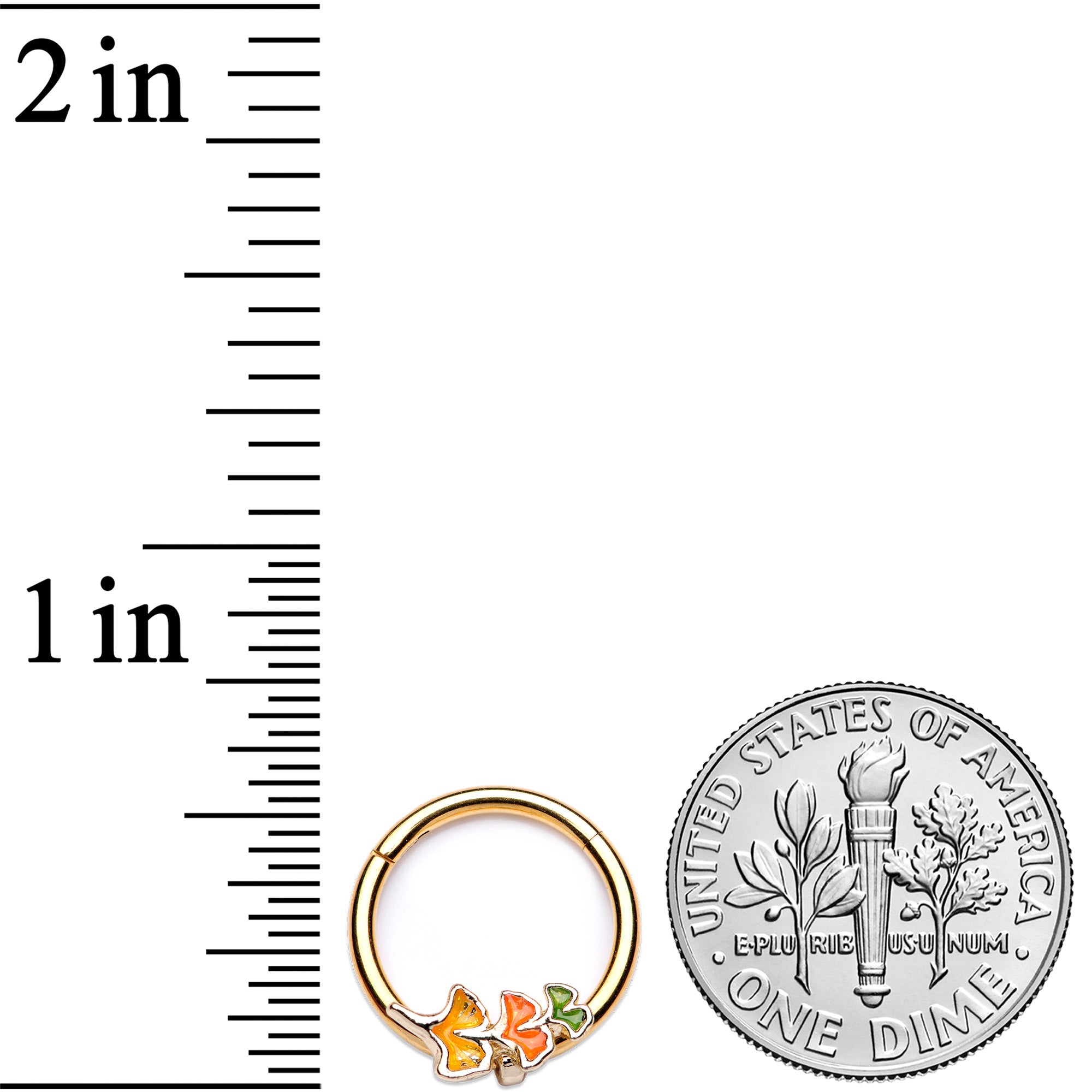 BodyCandy 16G 3/8 Autumn Leaves Fall Hinged Segment Ring — side view