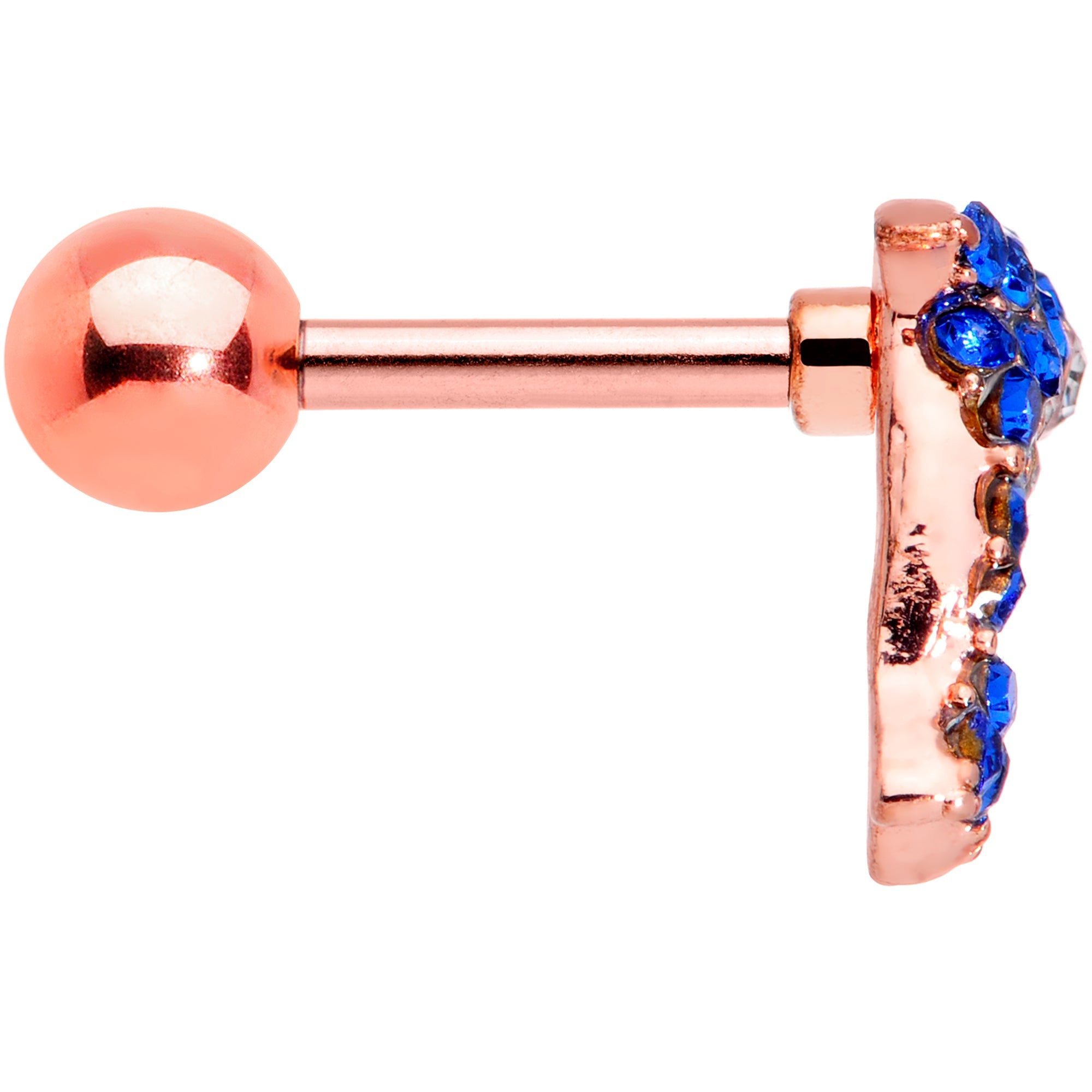 BodyCandy 16G 1/4 Blue Gem Rose Gold Tone Dolphin Cartilage Tragus Earring — lifestyle context