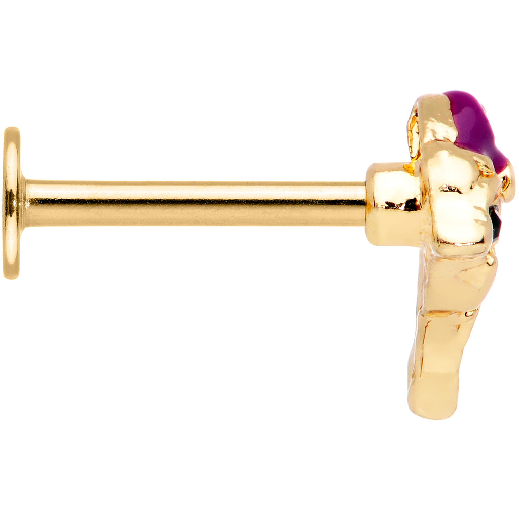 BodyCandy 16G 5/16 Purple Gem Gold Tone Dainty Dolphin Labret Monroe Tragus — lifestyle context