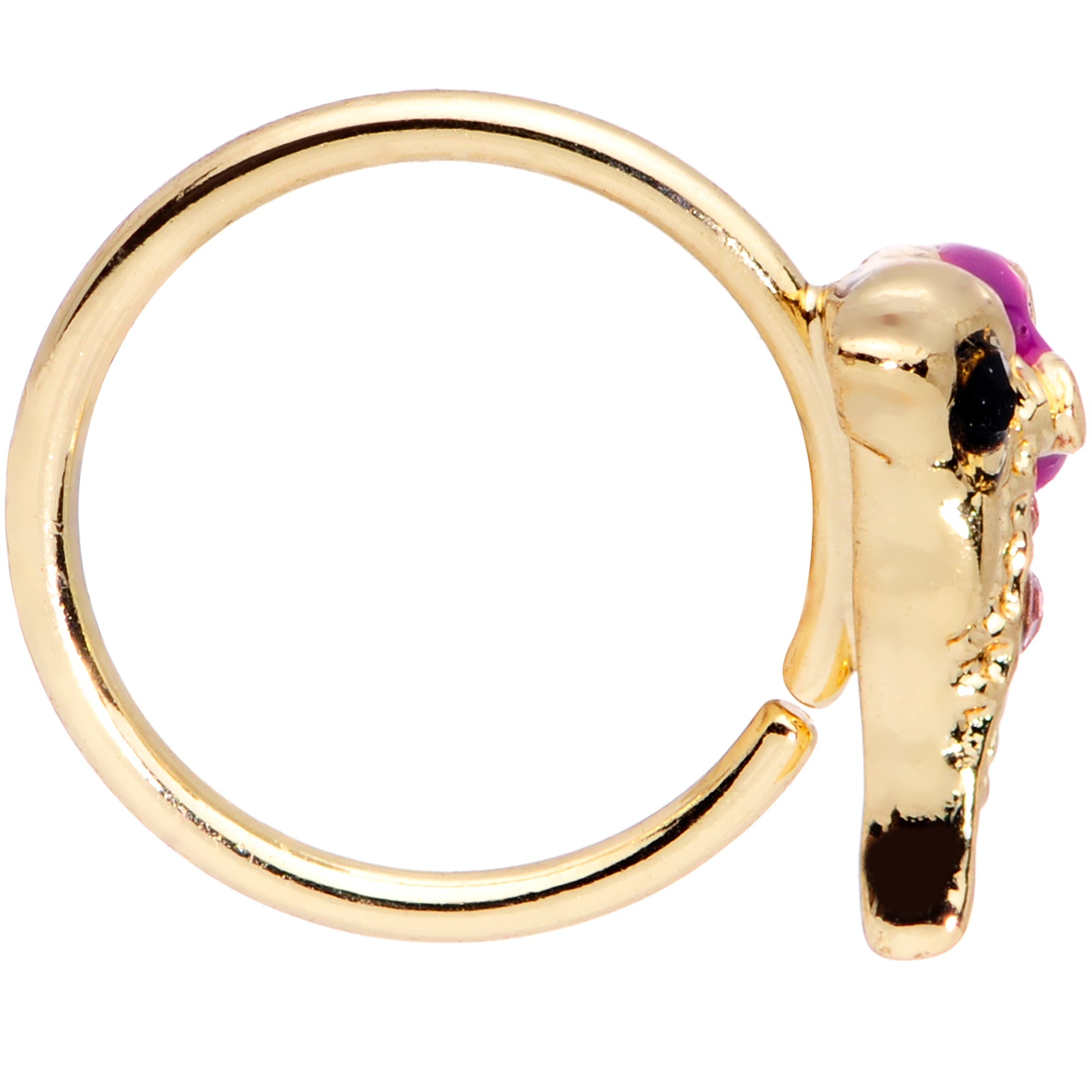 BodyCandy 20G 5/16 Purple Gem Gold Tone Dainty Dolphin Nose Hoop — lifestyle context