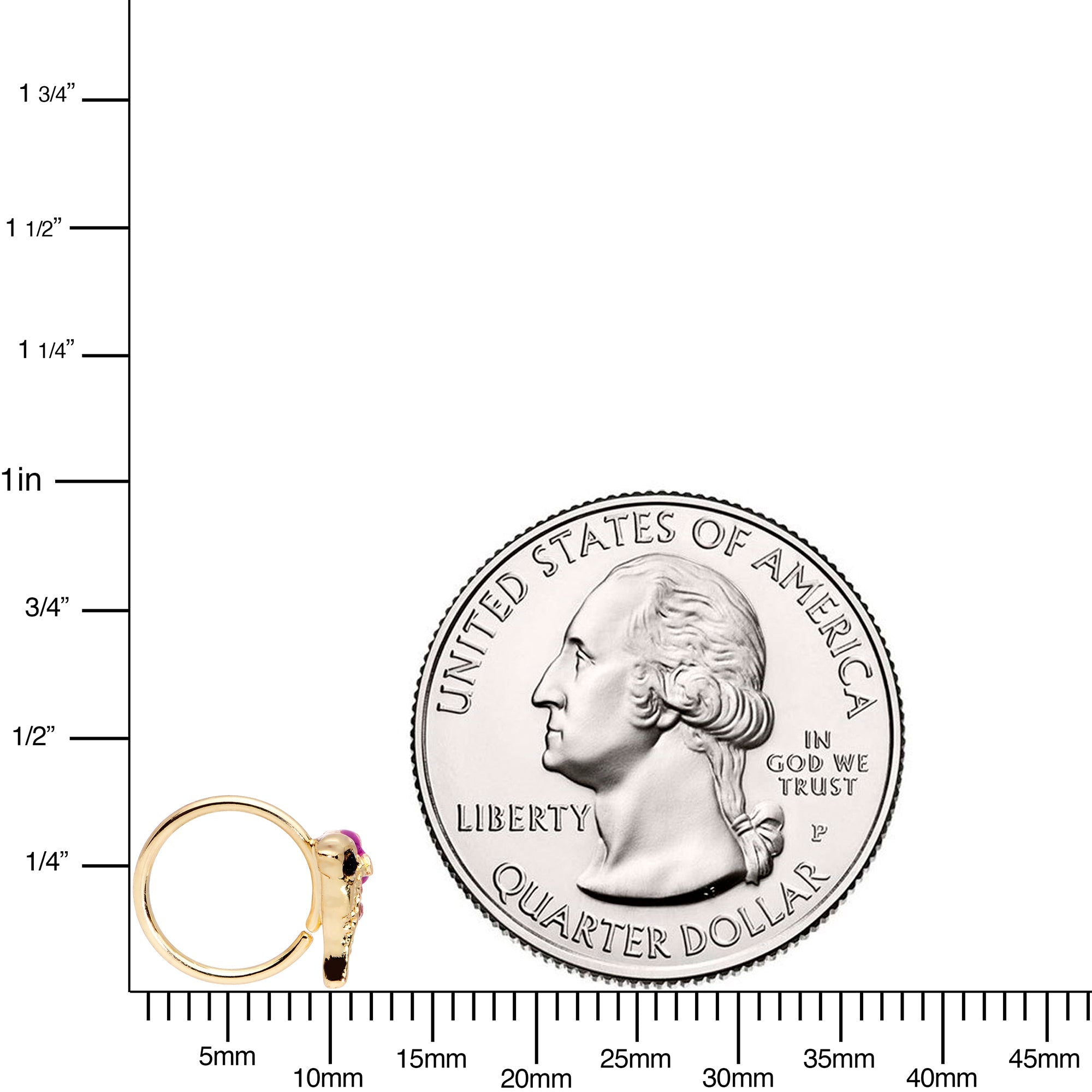 BodyCandy 20G 5/16 Purple Gem Gold Tone Dainty Dolphin Nose Hoop — side view