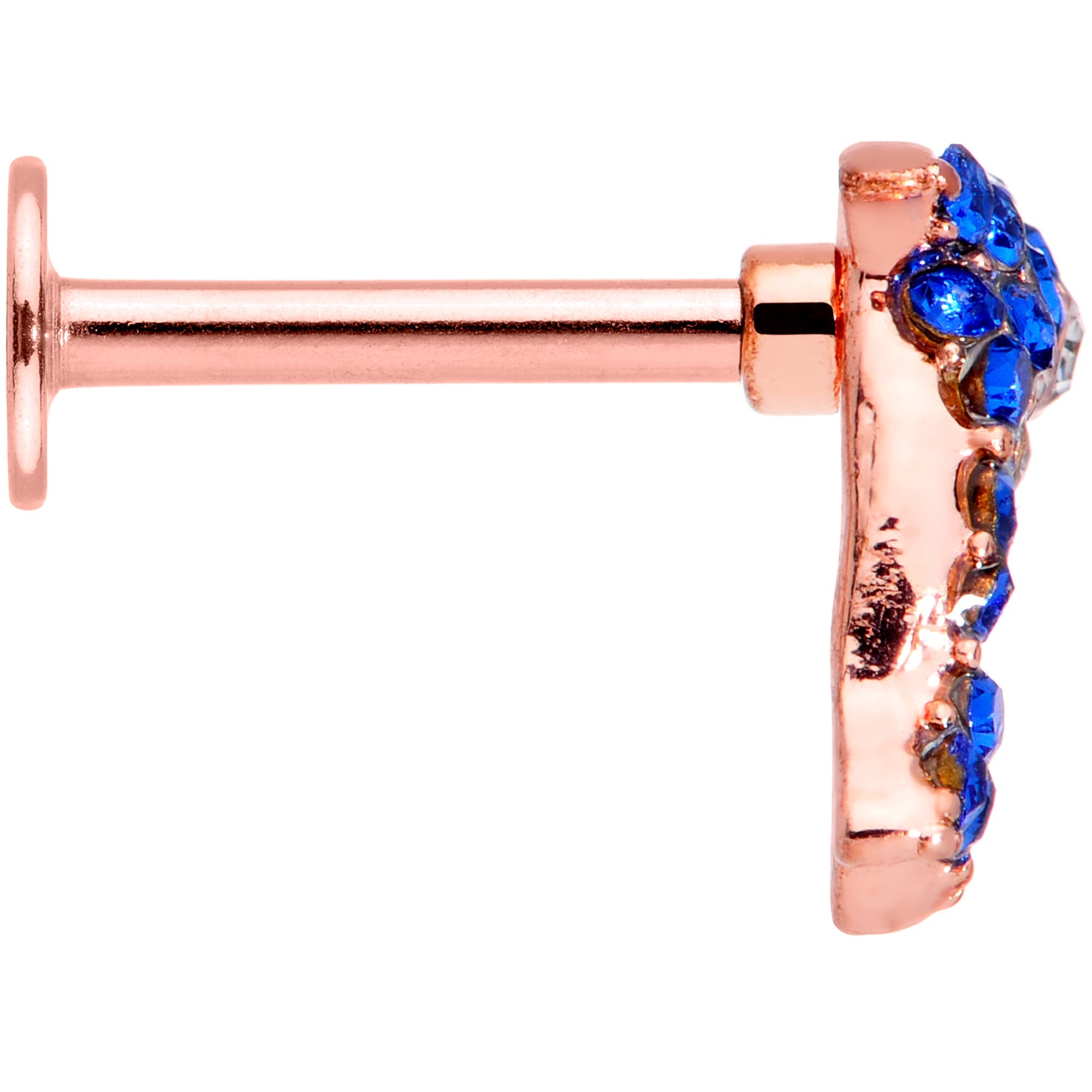 BodyCandy 16G 5/16 Blue Gem Rose Gold Tone Dolphin Labret Monroe Tragus — lifestyle context